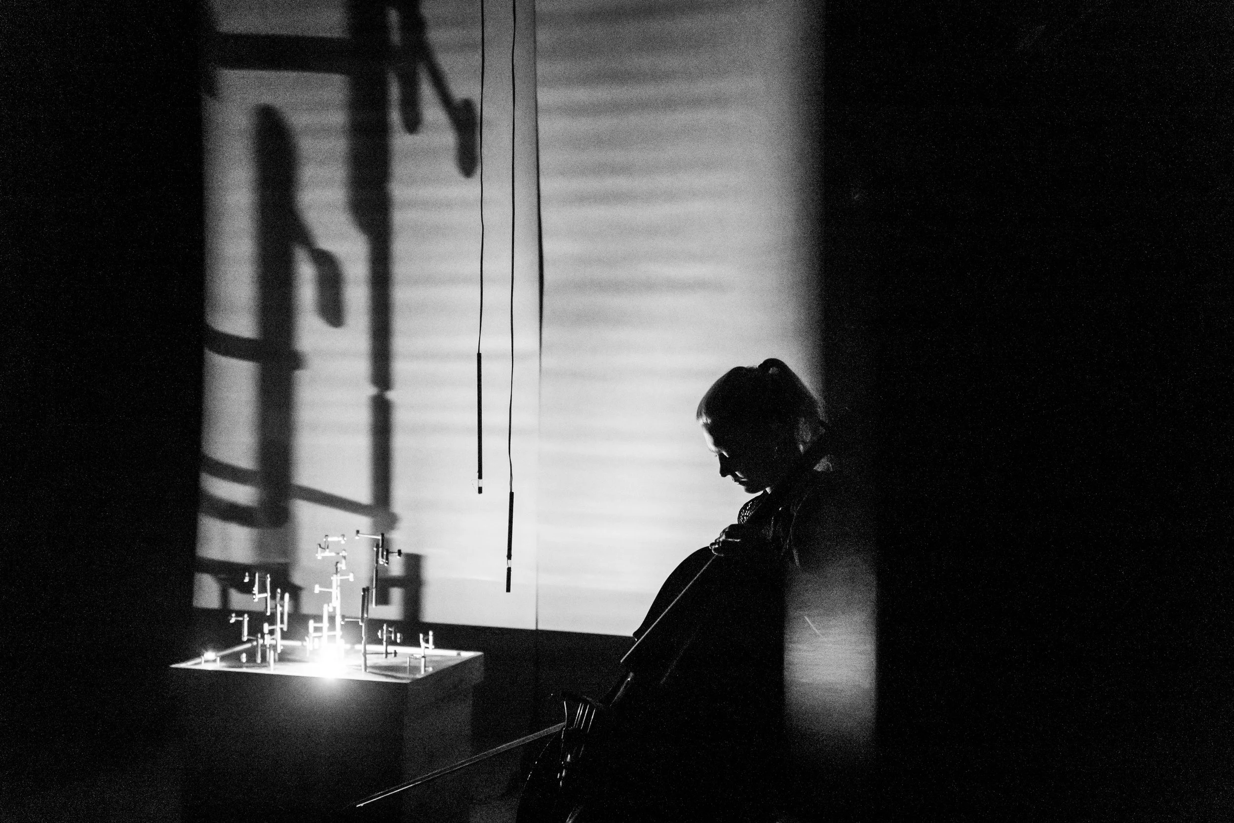 for stryketrio (2024)