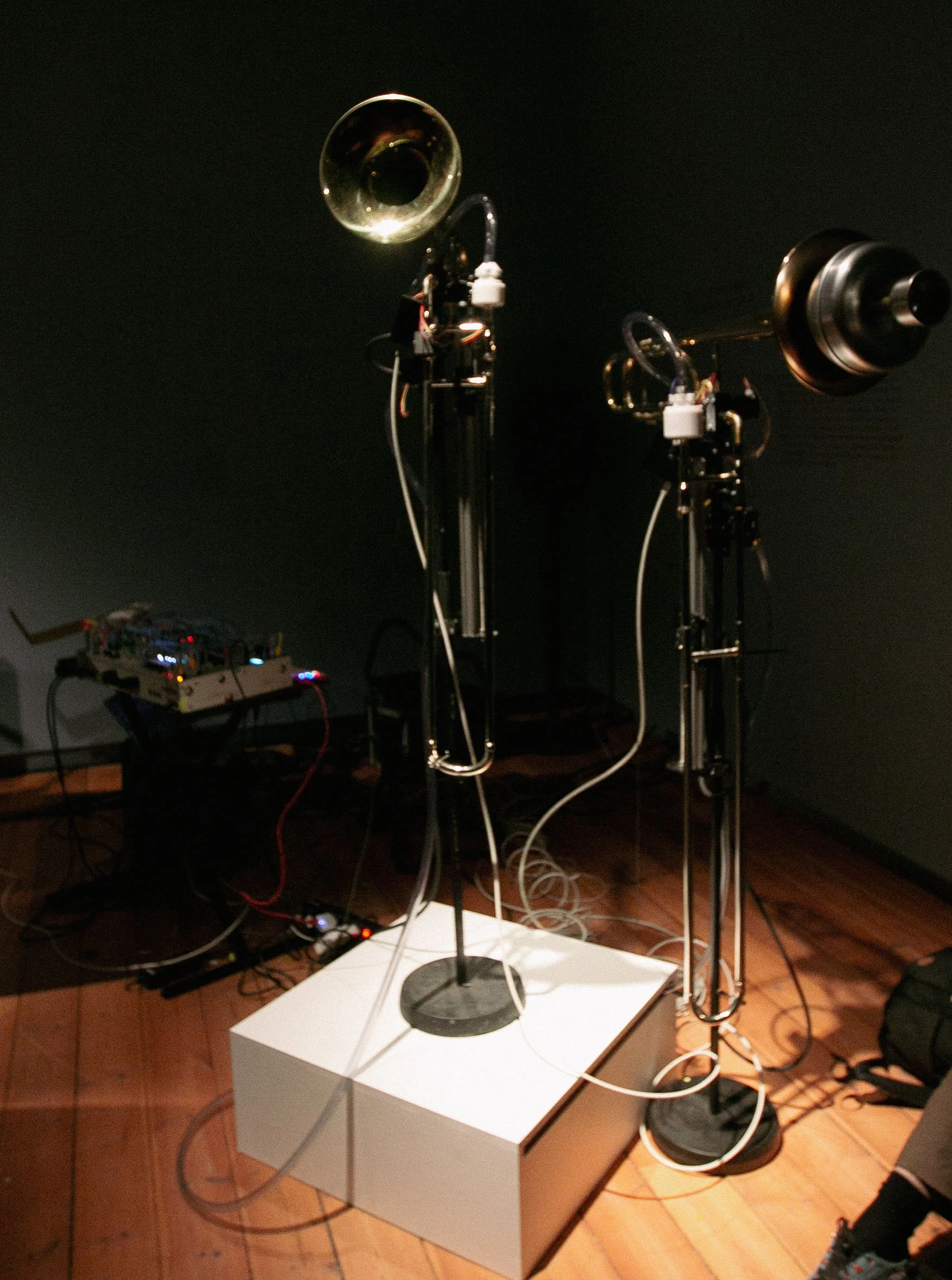 Kopi av IMG_7402.jpg