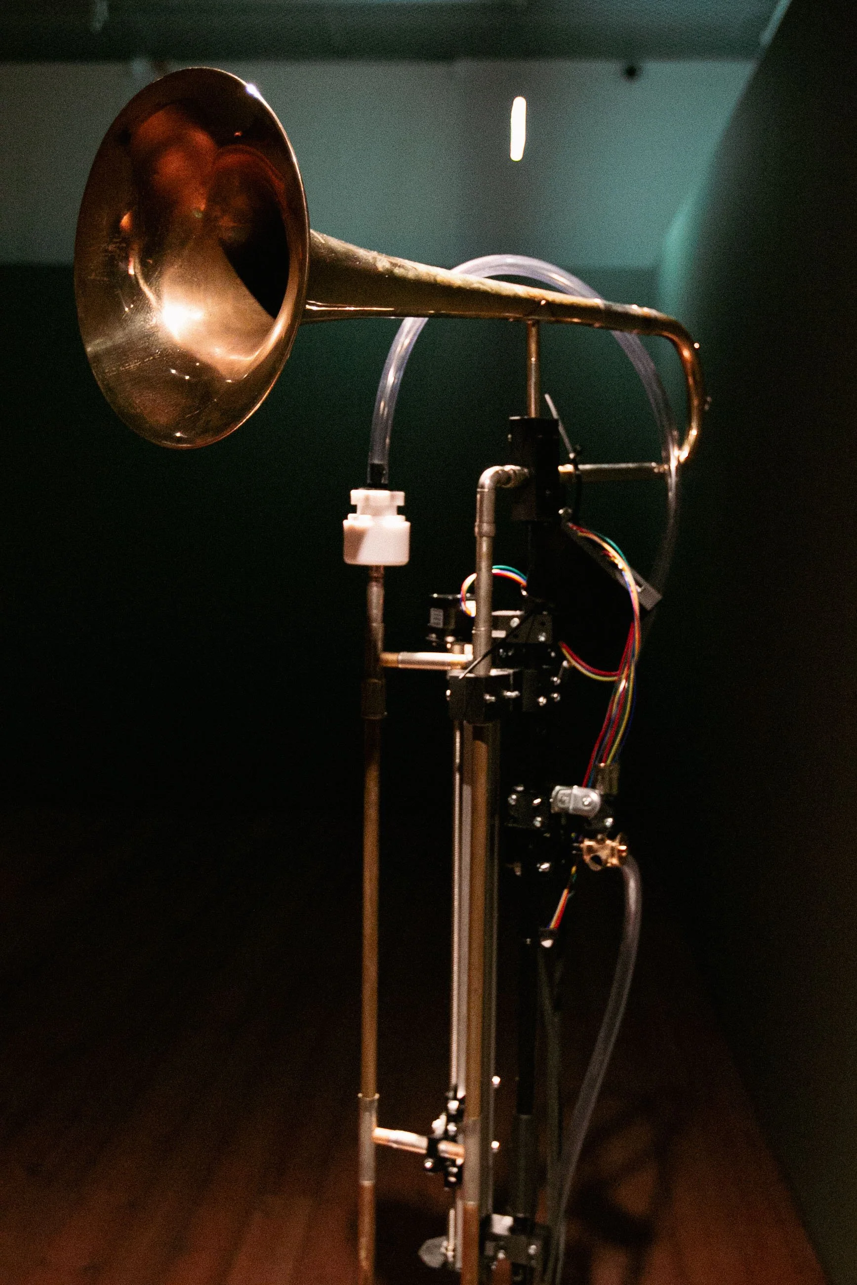 Kopi av IMG_7374.jpg