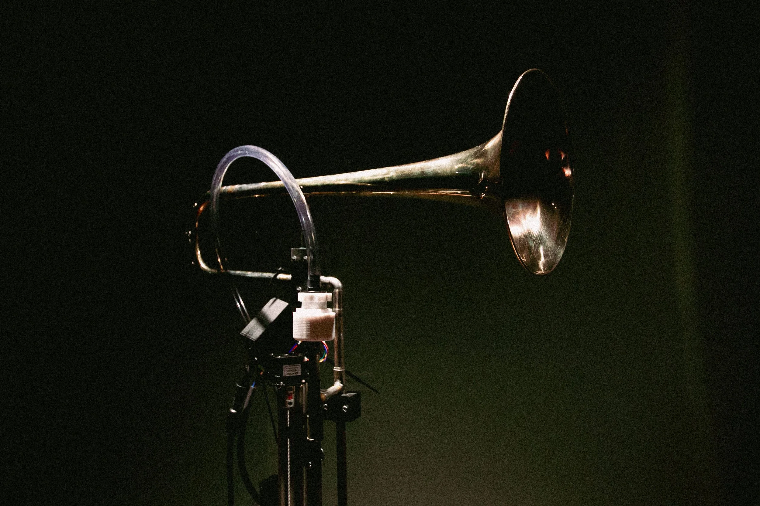 Kopi av IMG_7373.jpg