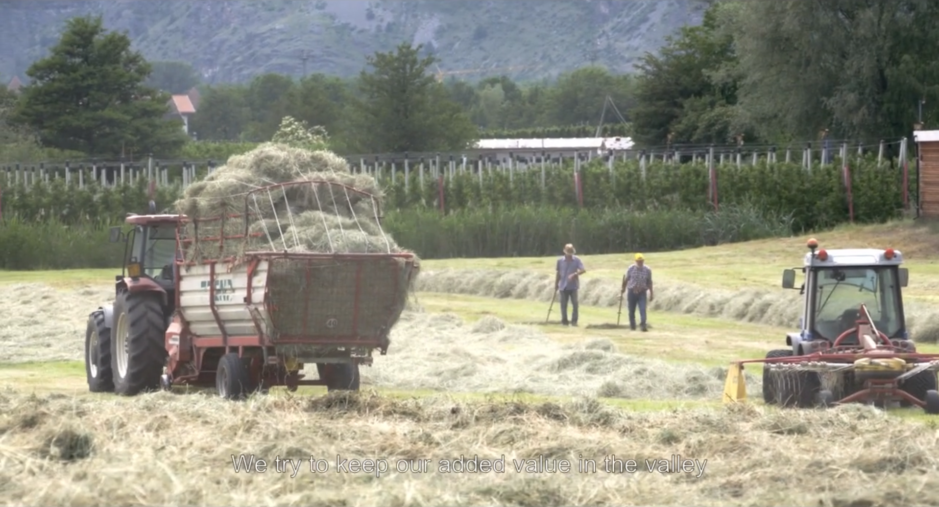commonsfarmersfilmdocumentarydocumentaire