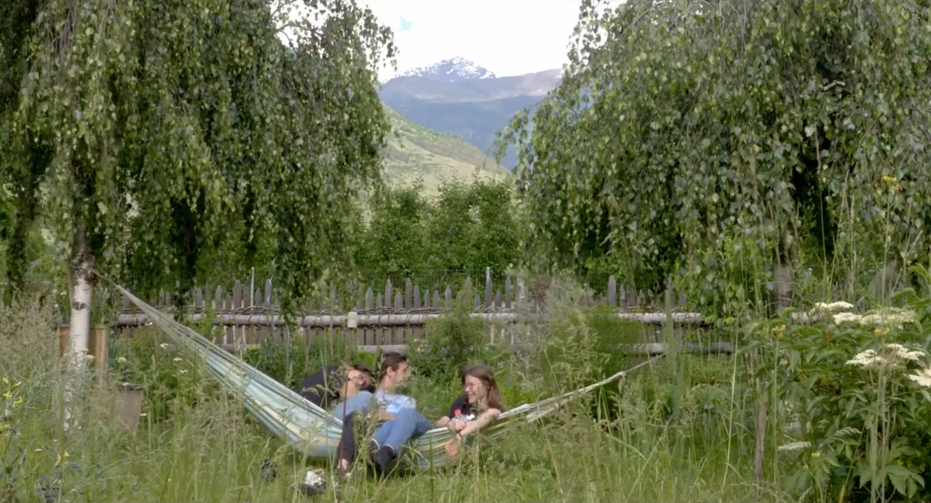 Screenshot 2026-02-10 at 14.38.42.png