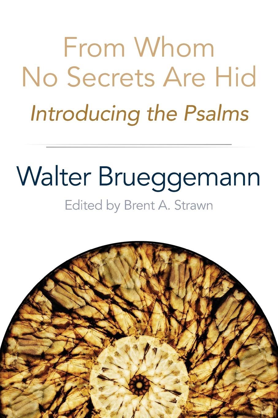 Book cover titled 'From Whom No Secrets Are Hid: Introducing the Psalms' by Walter Brueggemann, edited by Brent A. Strawn. The cover features a spiral formation of ornate, amber and brown-colored crystalline stones.