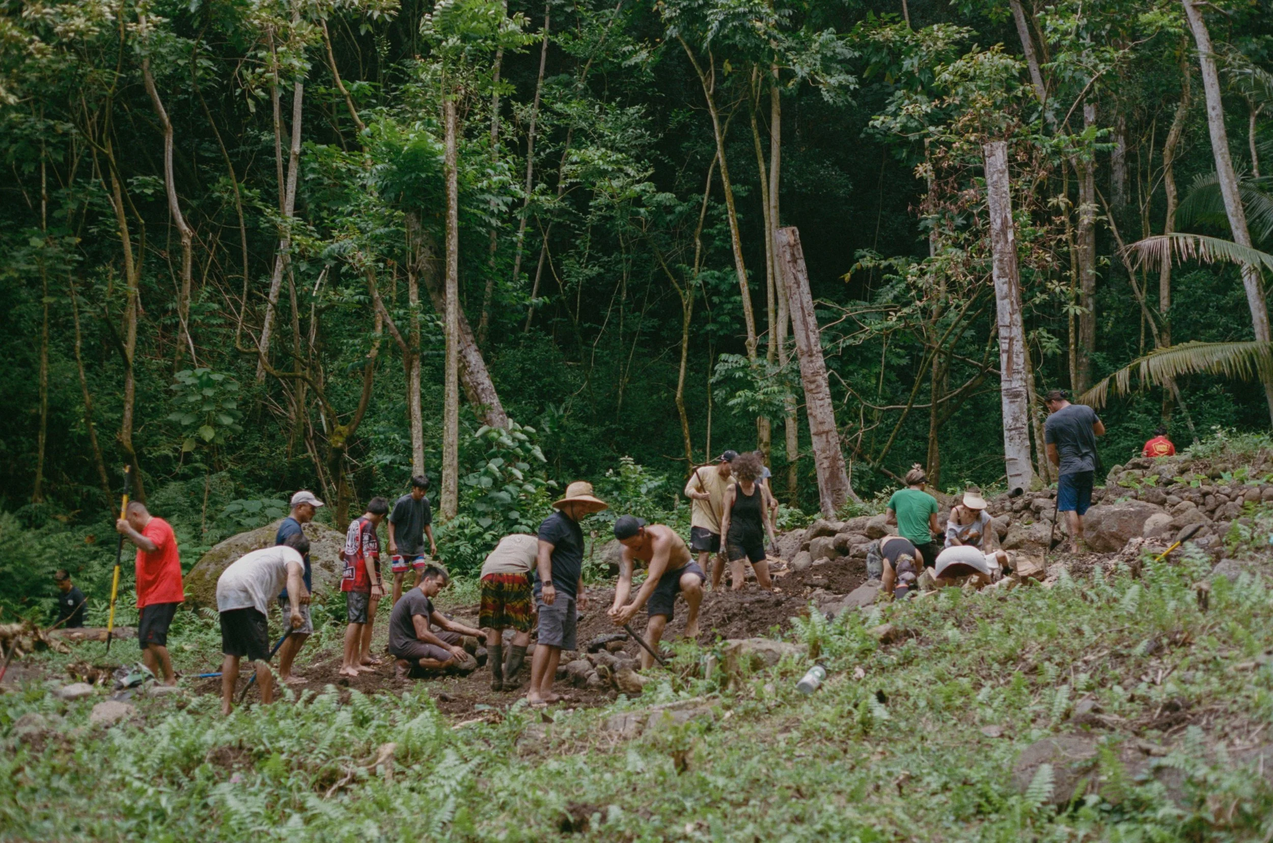 A group of people working together outdoors in a lush, green forest, planting trees or working on the land.