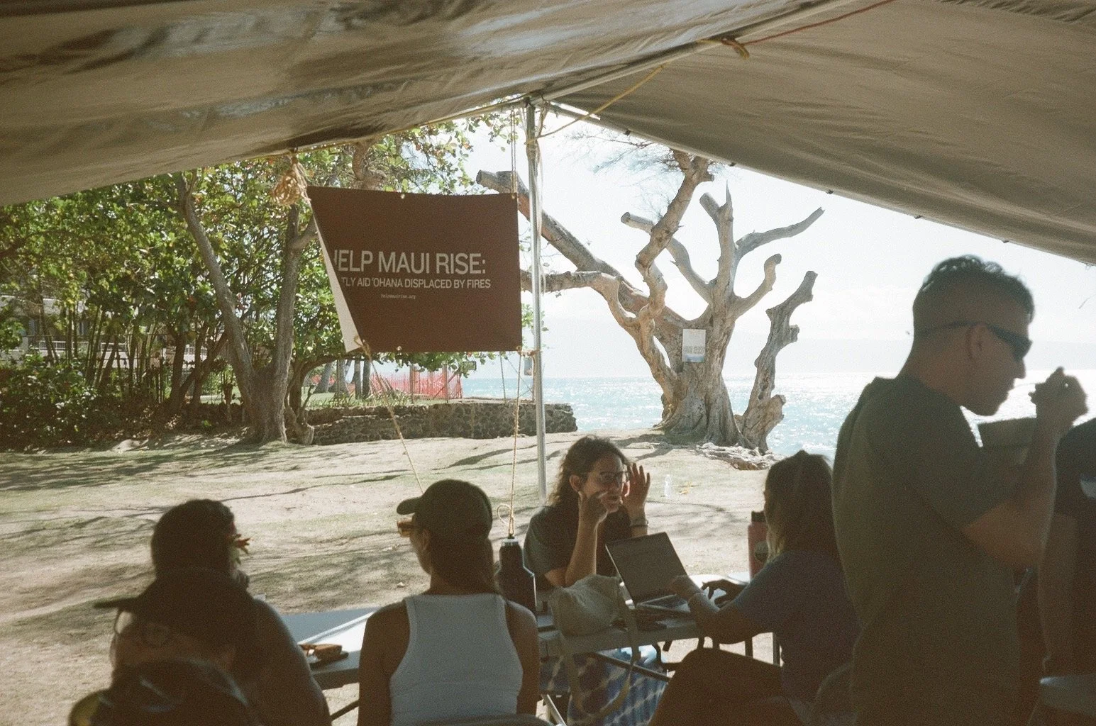 Group of people sitting at a table under a canopy with a sign that reads 'Help Maui Rise: Relief Aid Uplifted by Fires,' with a large, weathered tree and ocean in the background.
