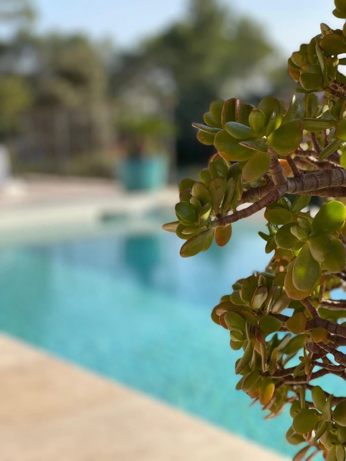 PHOTO-2026-03-07-17-27-41 3.jpg