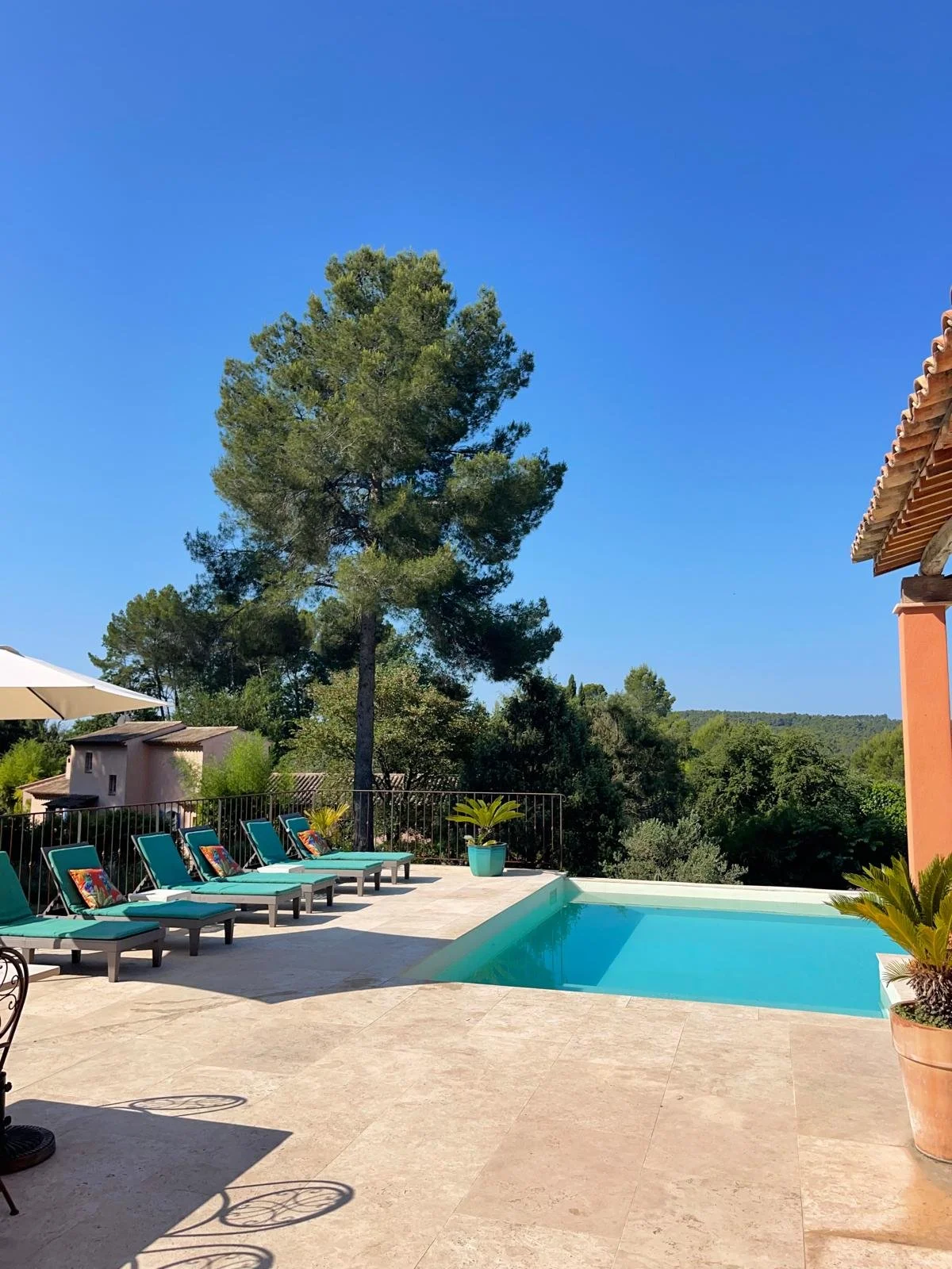 PHOTO-2026-03-07-17-14-29 2.jpg