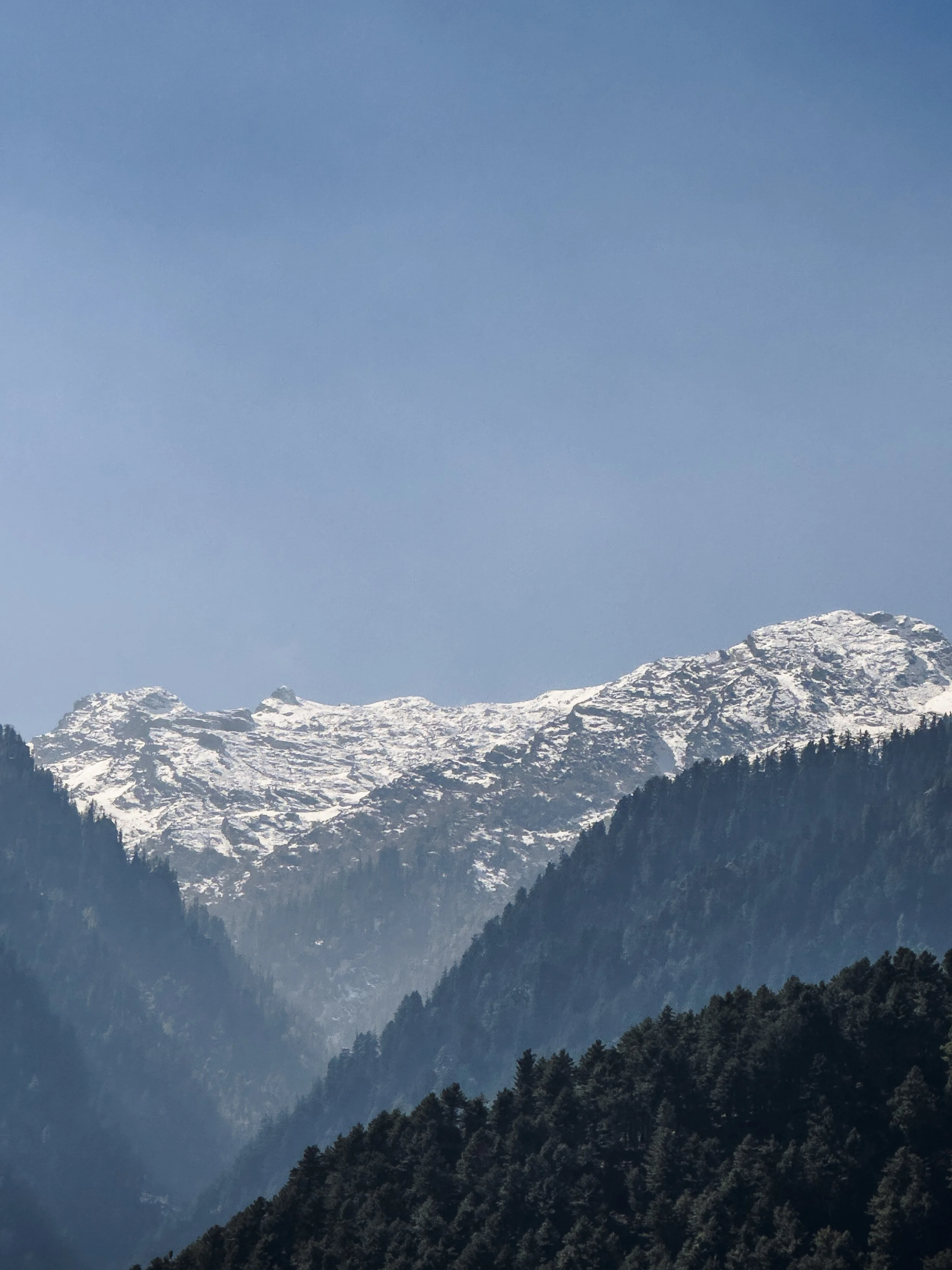 Snow-capped mountains with dense evergreen forests in the foreground and a clear blue sky.