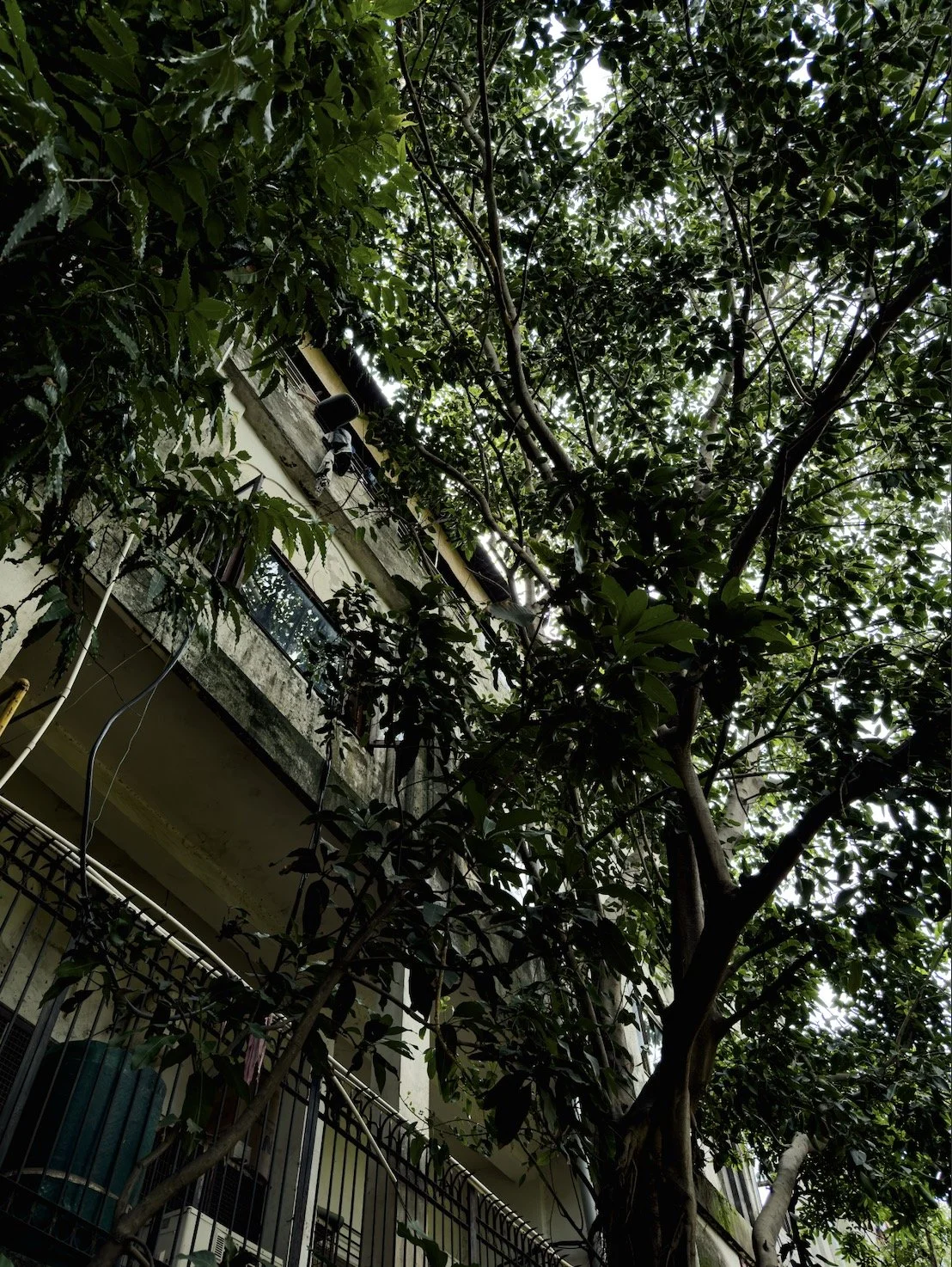 Greater Kailash 2, New Delhi, India