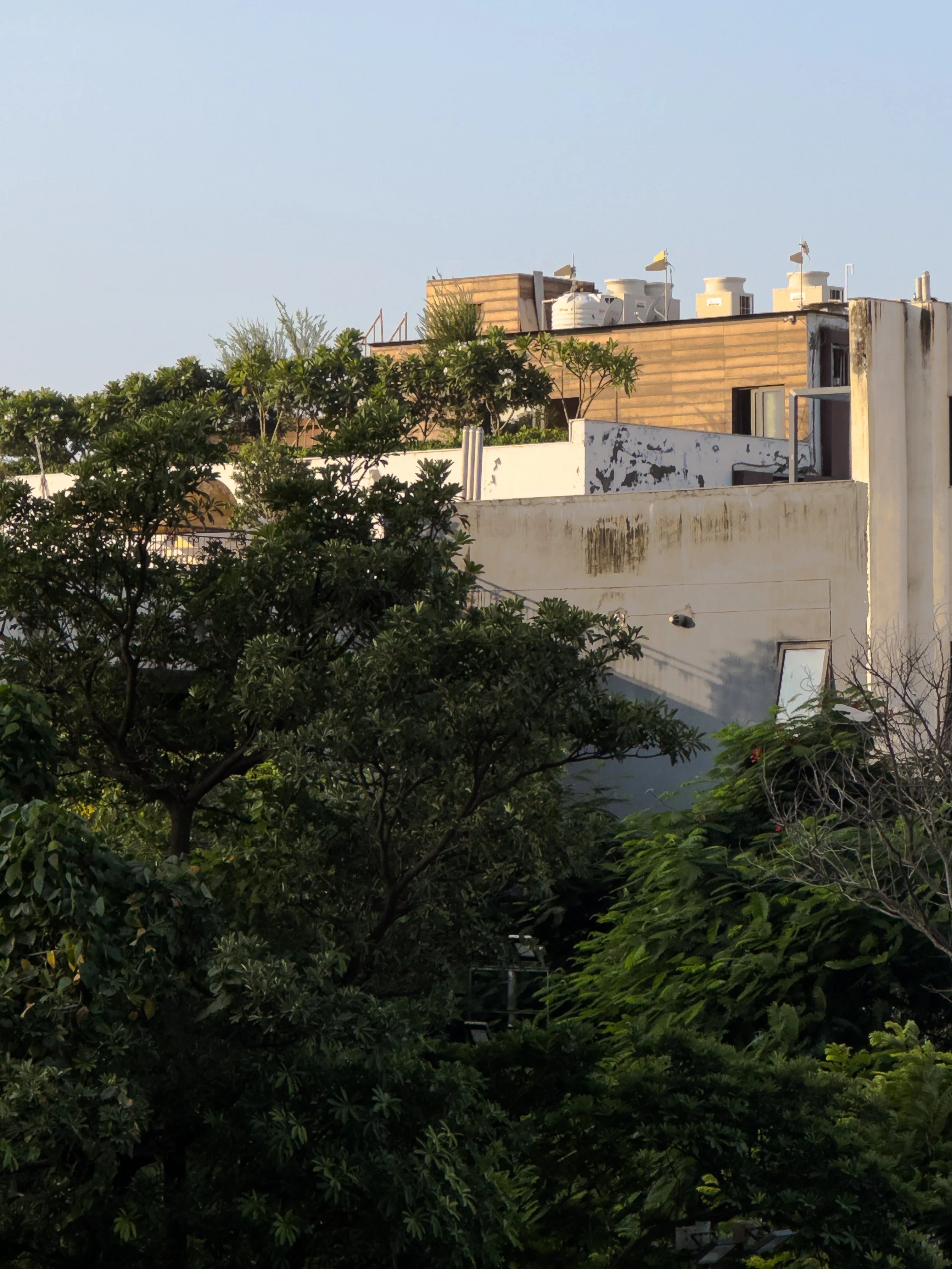 Cityscape with trees in the foreground, and buildings with rooftop equipment and weather vanes in the background under a blue sky.