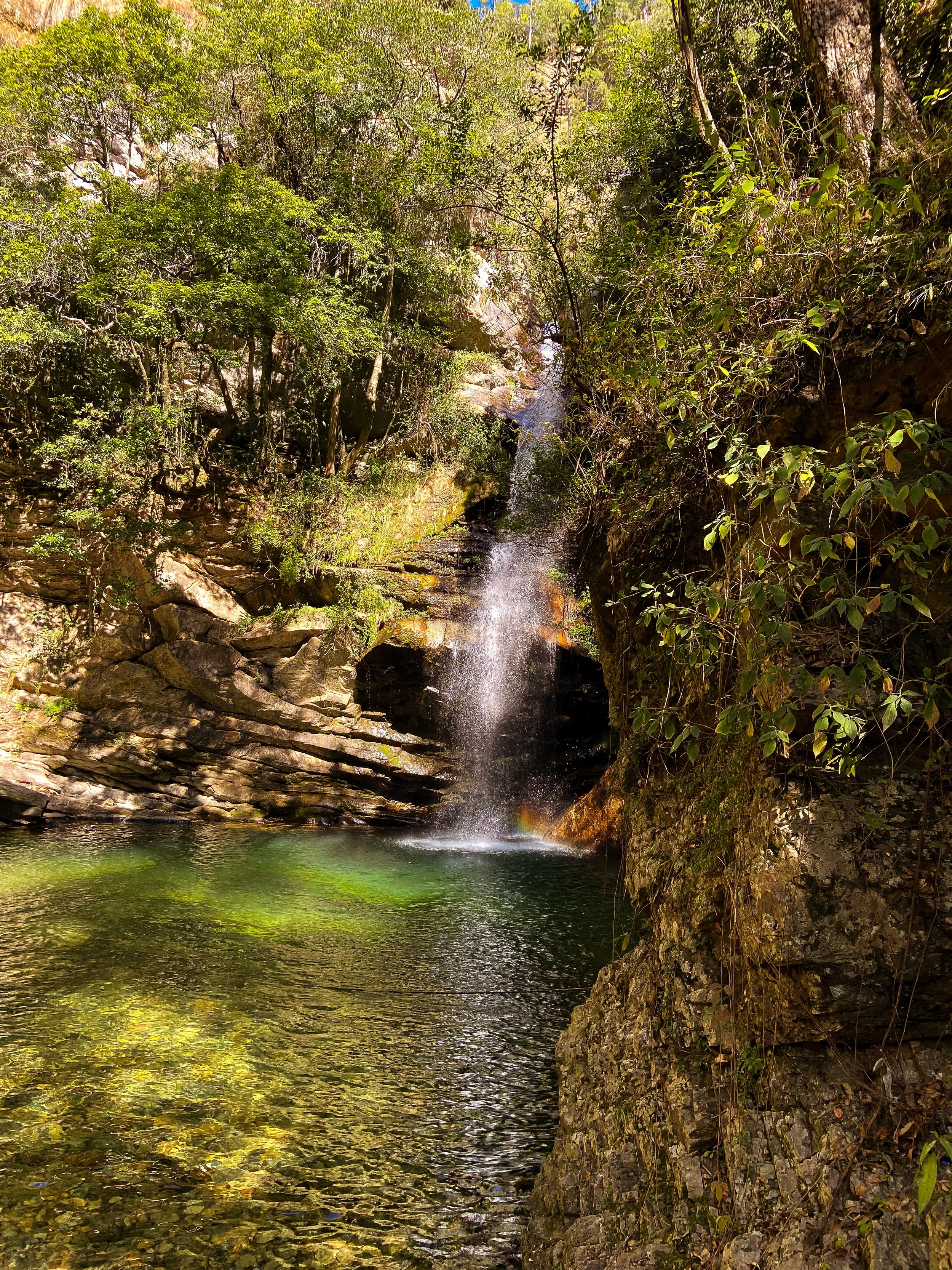 A small waterfall flowing into a clear green pool surrounded by rocks and dense green foliage.