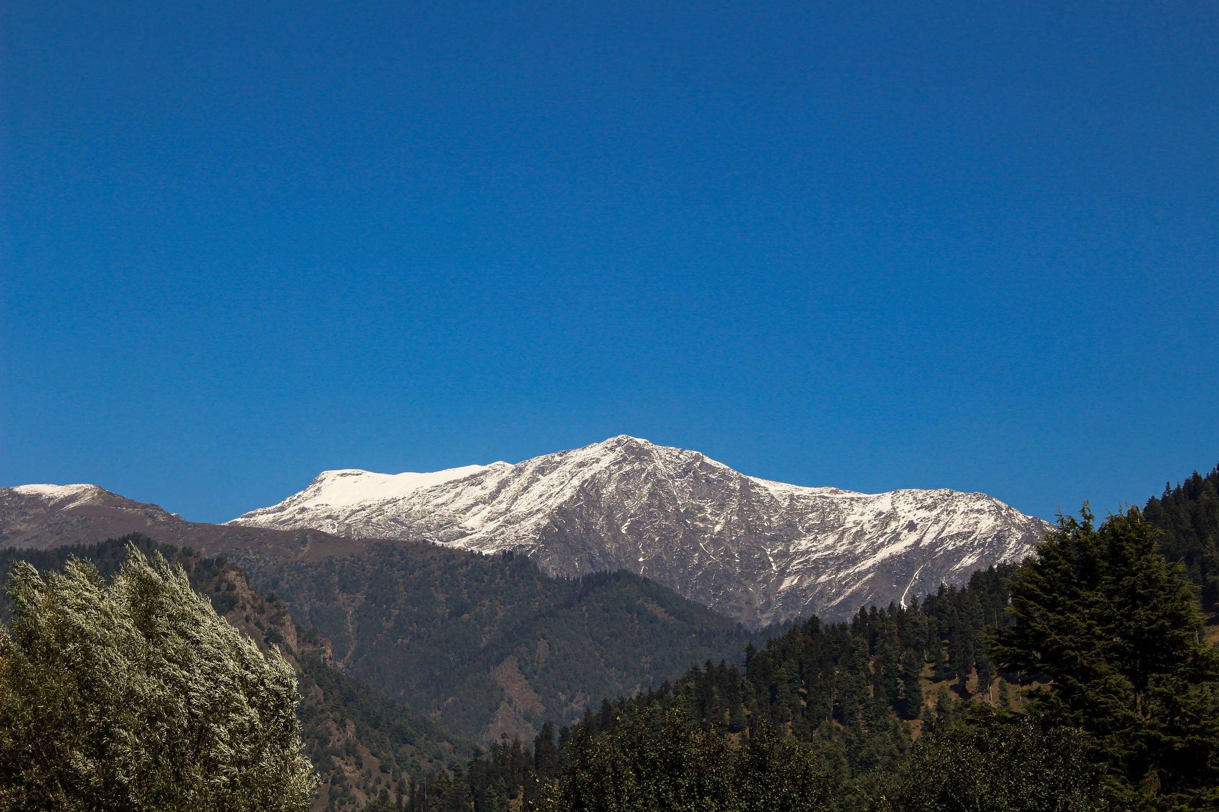 Snow-capped mountain peak against a clear blue sky with green forested hills in the foreground.