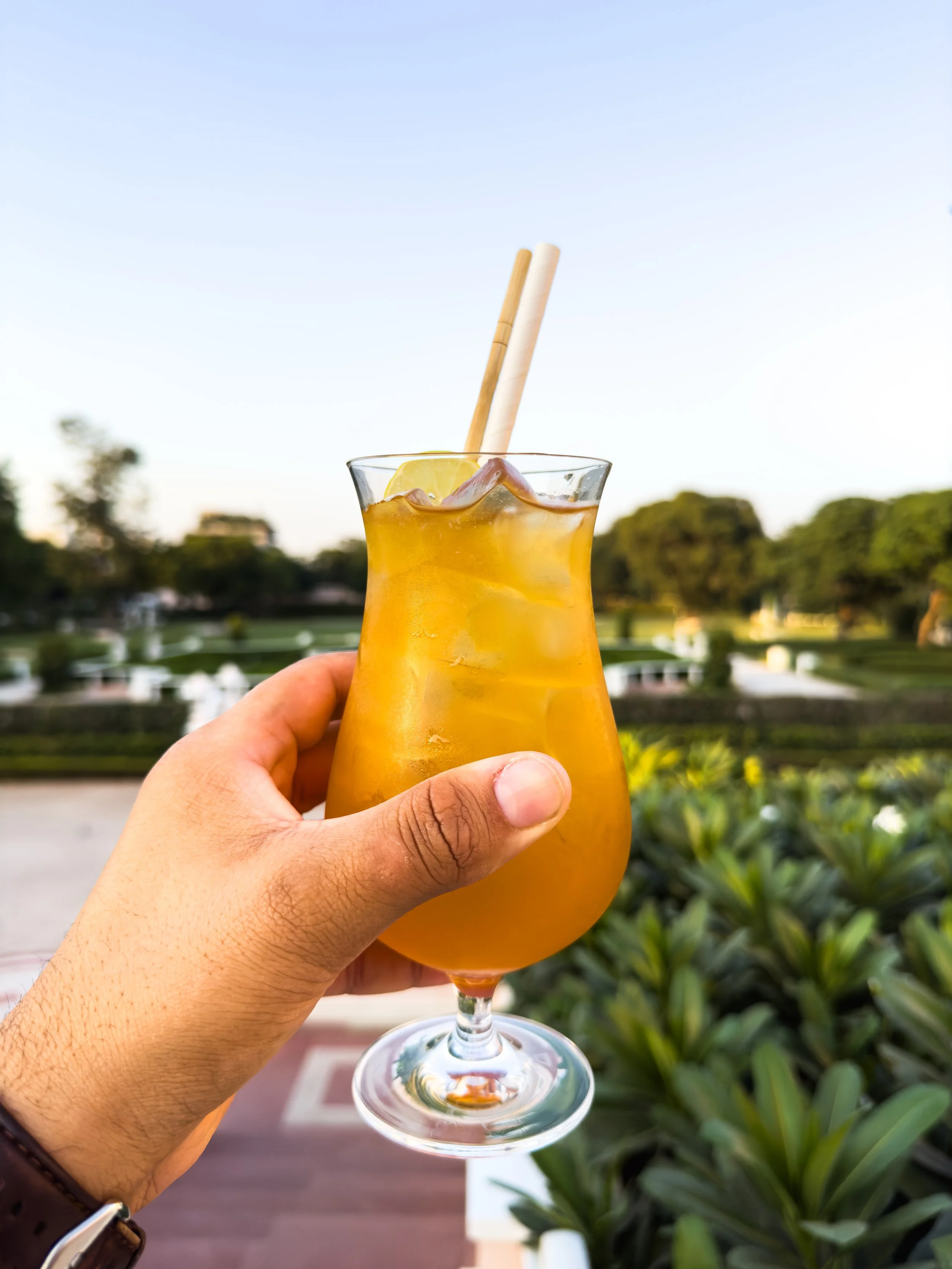 A person holding a tall glass of orange-colored cocktail with ice, lemon slice, and two straws, outdoors with trees and a garden in the background.
