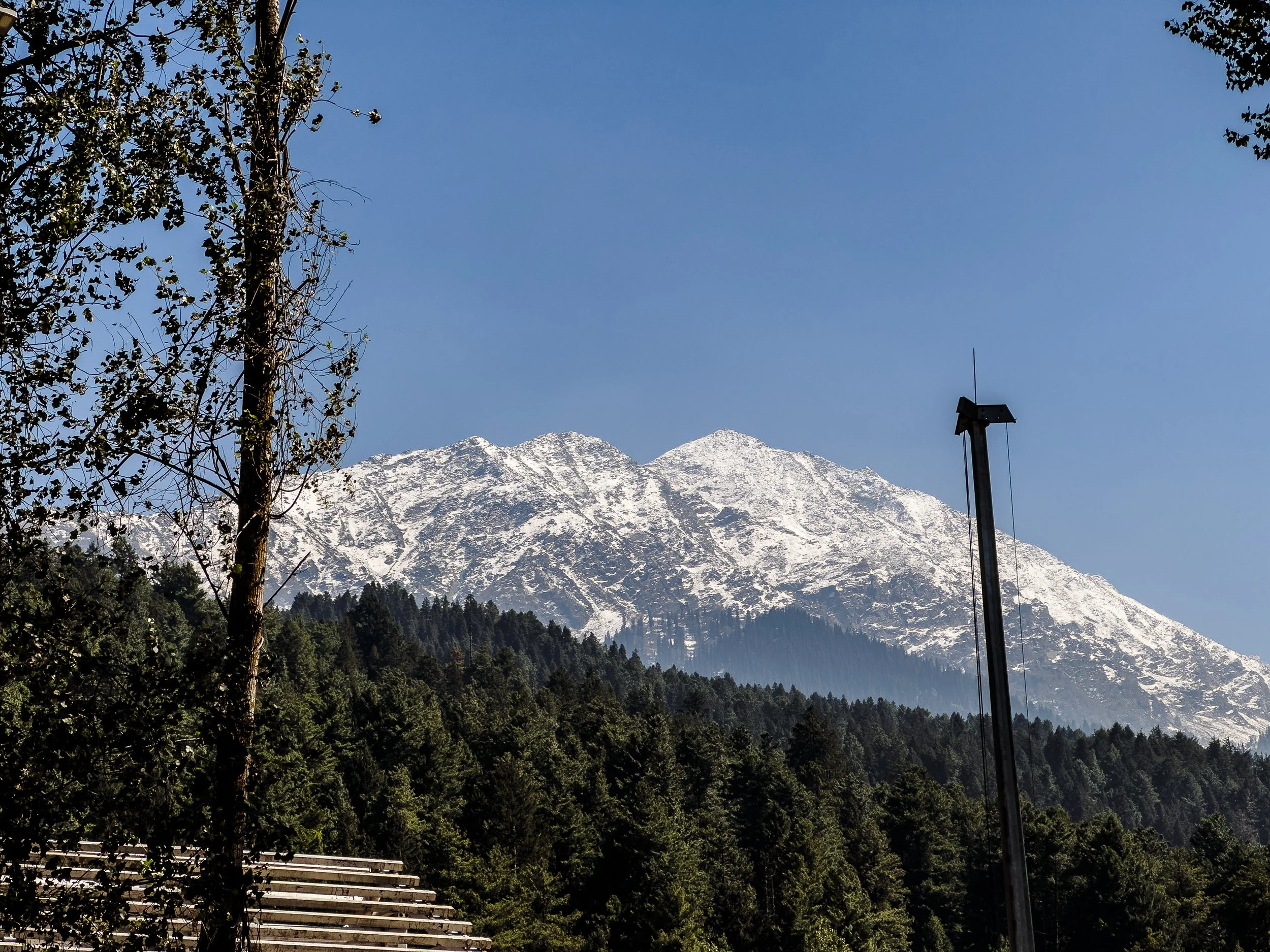 Snow-capped mountain in the distance with a clear blue sky, trees and a light pole in the foreground.