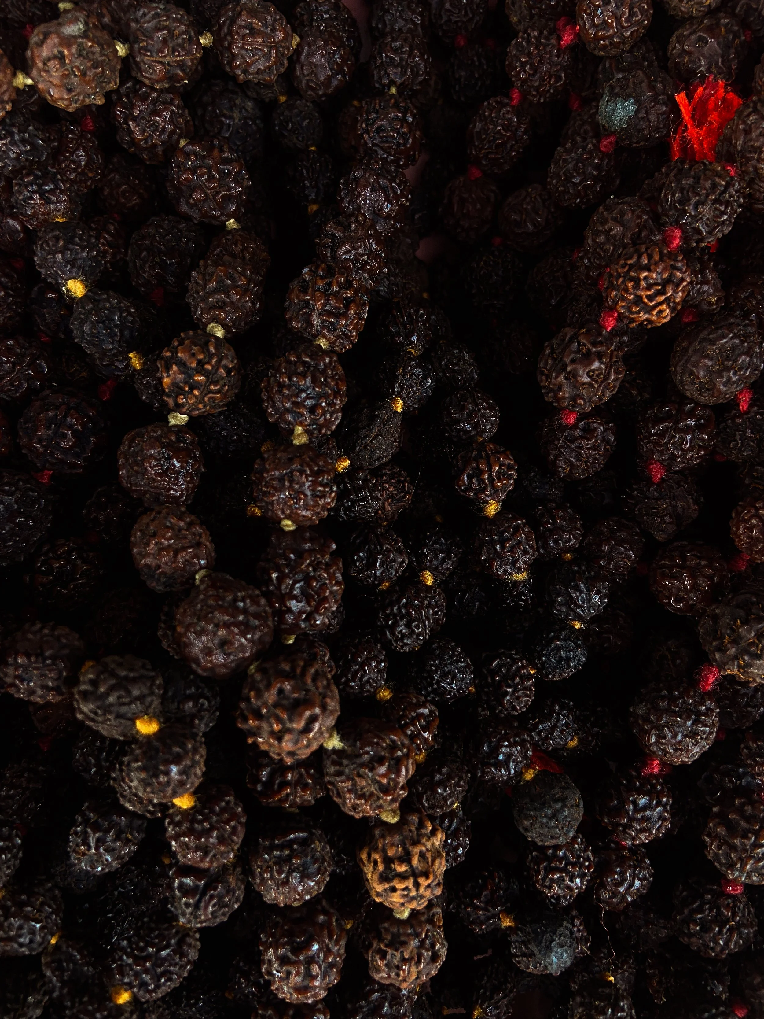 Close-up of multiple black or dark brown seed beads strung together in strands.