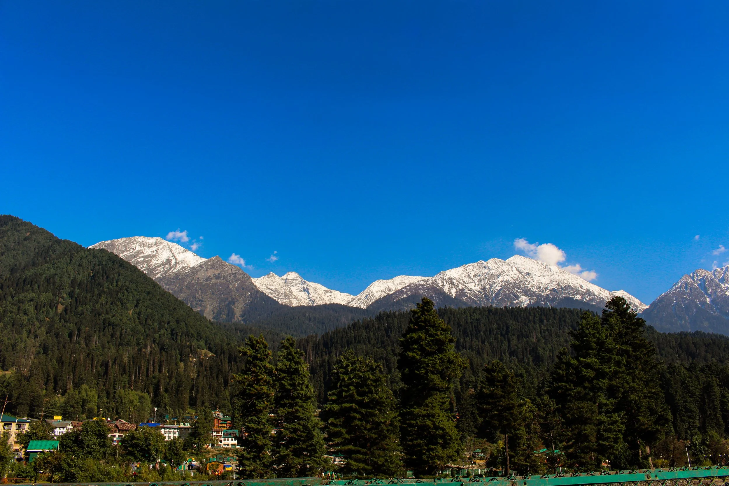 Snow-capped mountains behind a dense forest of tall green conifer trees, with a small town at the base and a bright blue sky above.