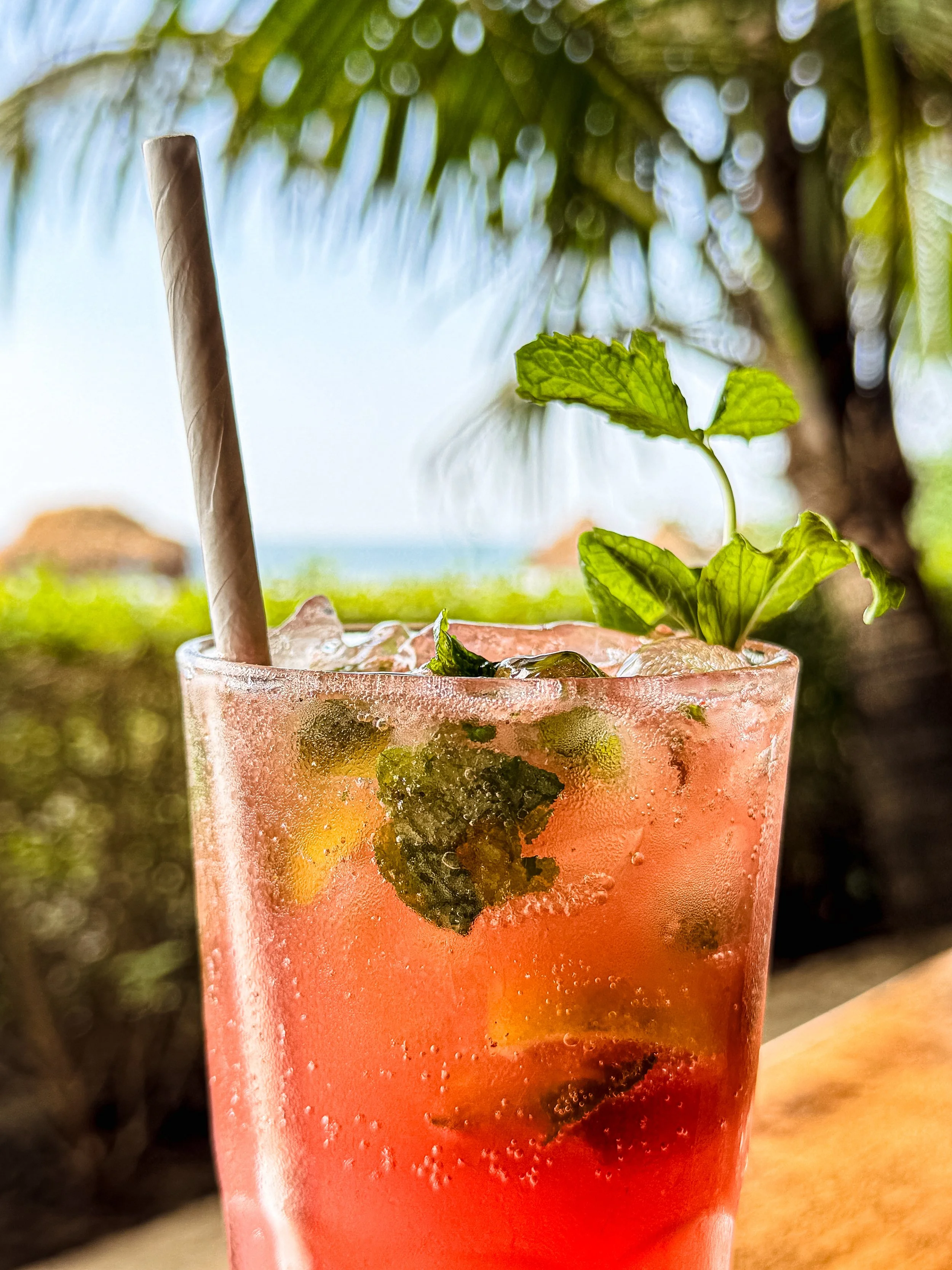 A close-up of a pink cocktail in a clear glass with ice, mint leaves, and a straw, set outdoors with greenery and a blurred background.