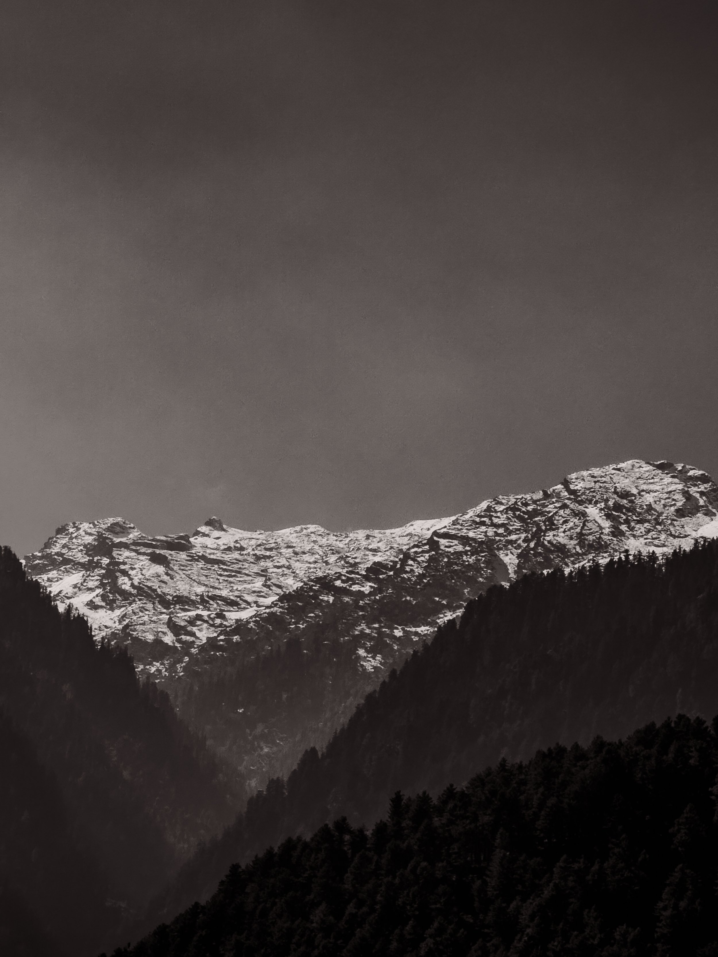 Snow-capped mountains in a black and white photograph with forested slopes in the foreground.