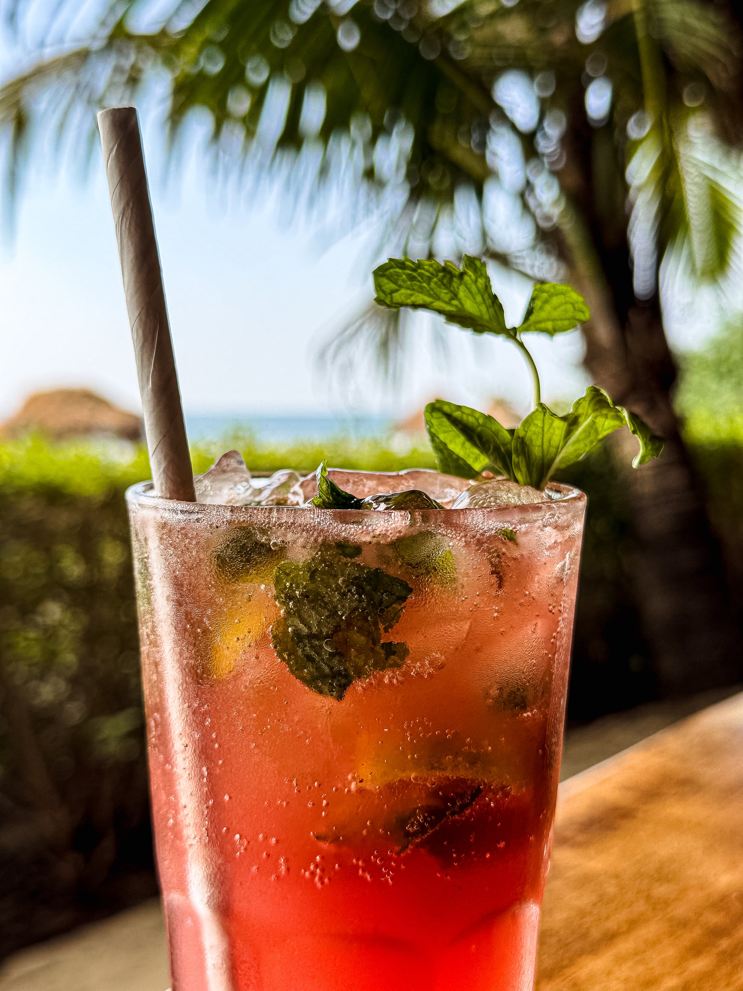 Close-up of a tall glass of pink cocktail with mint leaves and a paper straw, ice cubes inside, condensation on the glass, set outdoors near palm trees with a blurry background.
