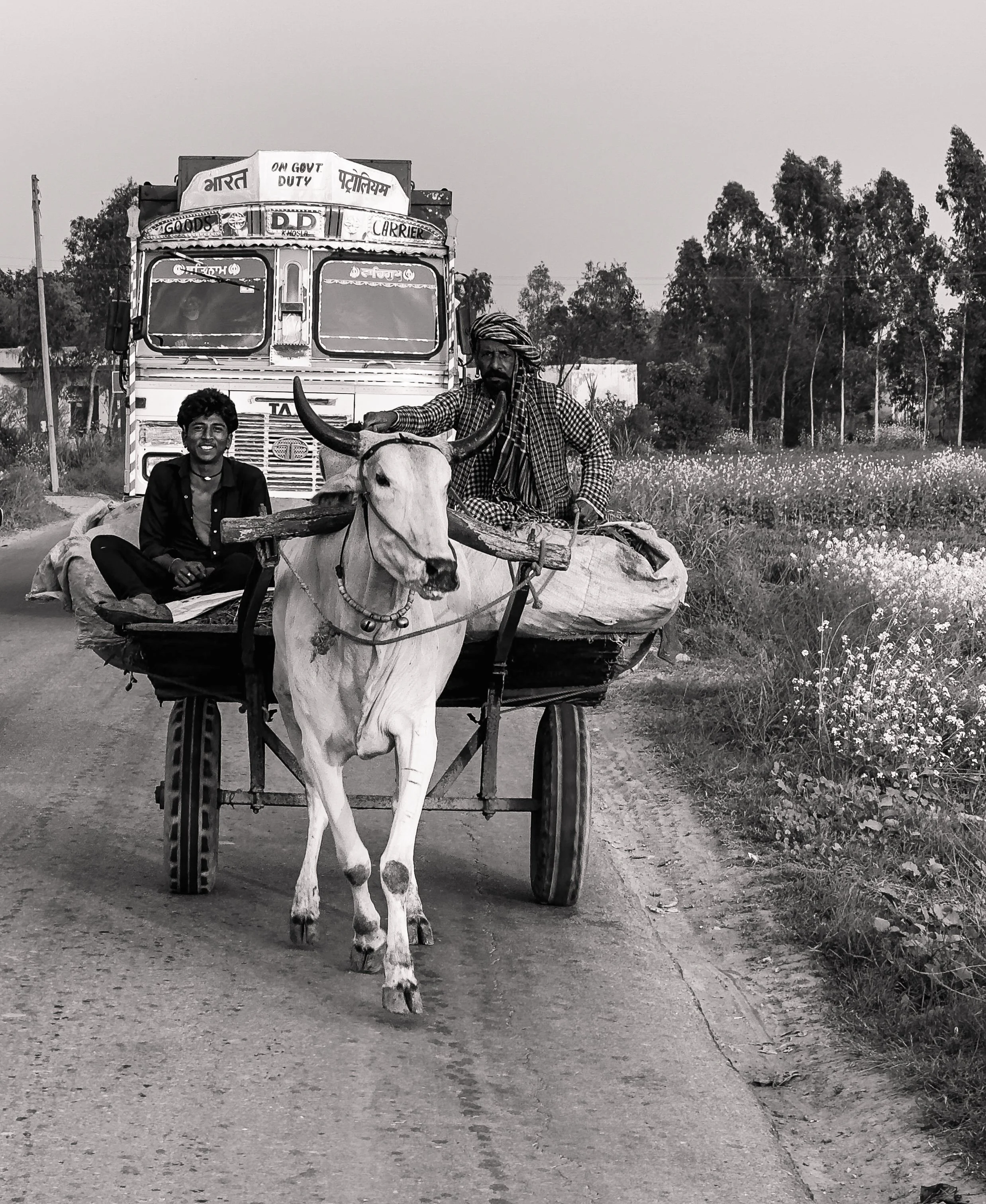 A black and white photo of a bullock cart with two men riding on it, one smiling and the other wearing a turban, on a rural road with trees and fields in the background.