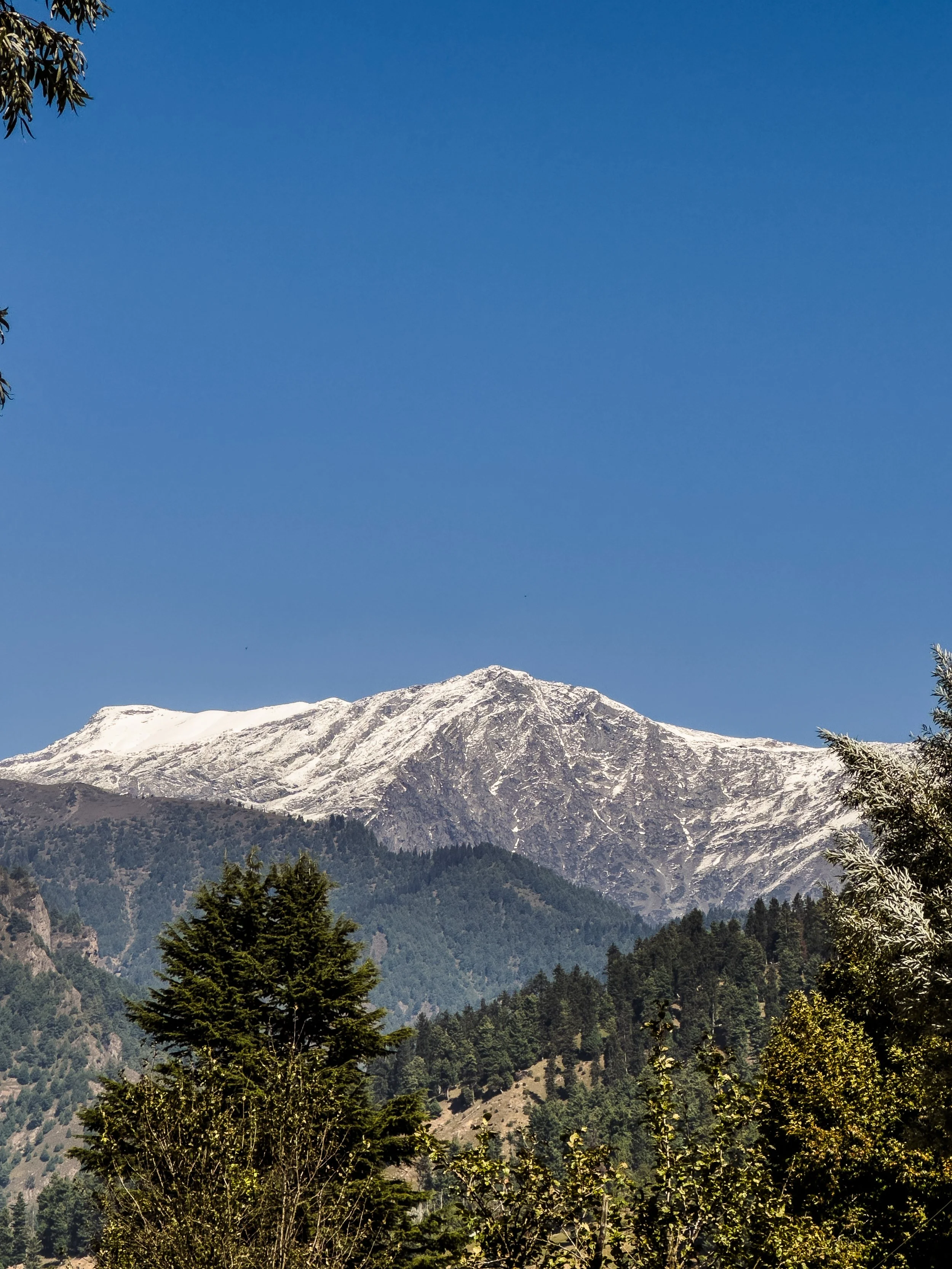 Snow-capped mountain with green trees in foreground and clear blue sky.