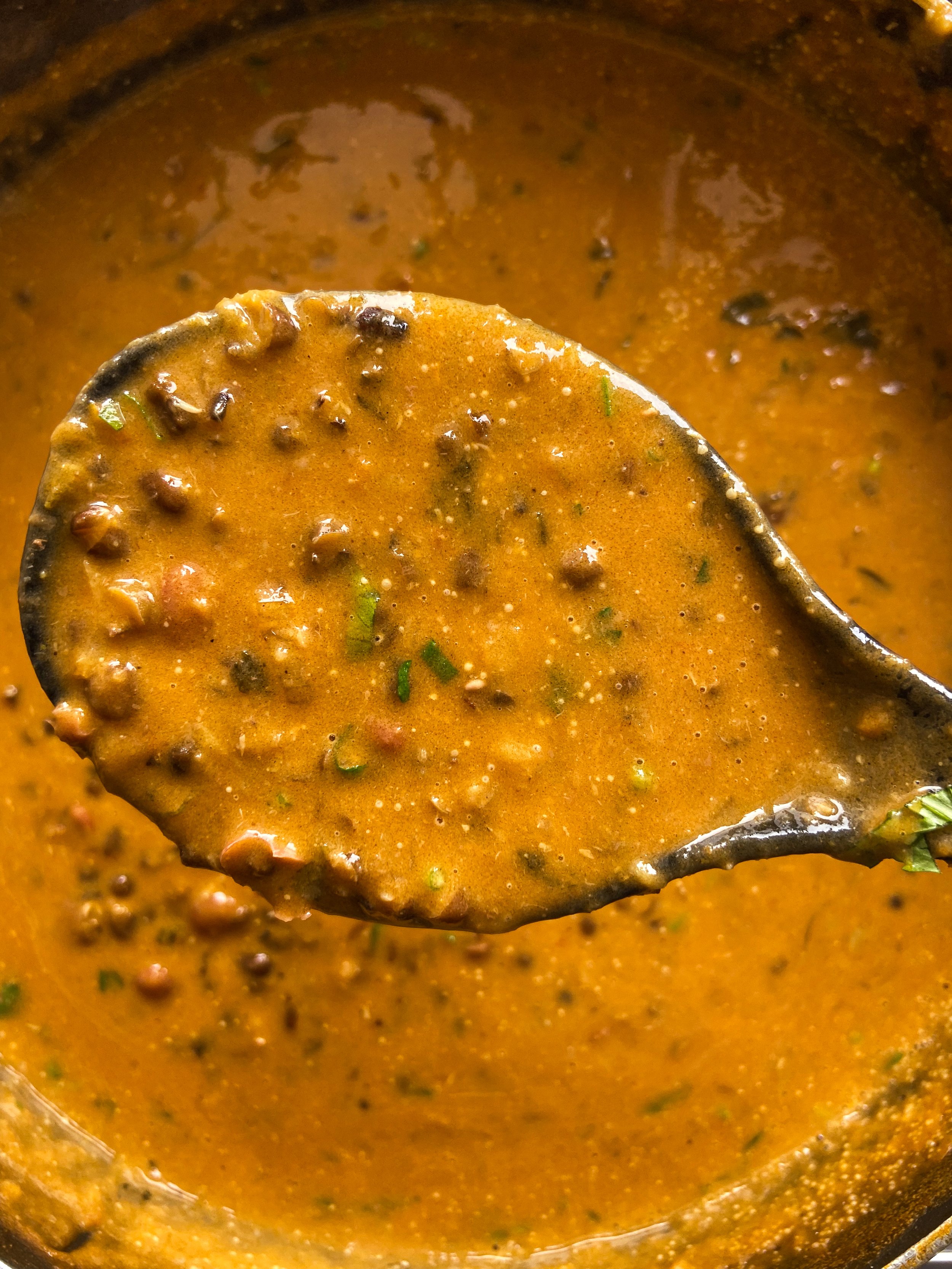 Close-up of a spoon scooping thick, flavorful Indian curry sauce with spices and herbs.