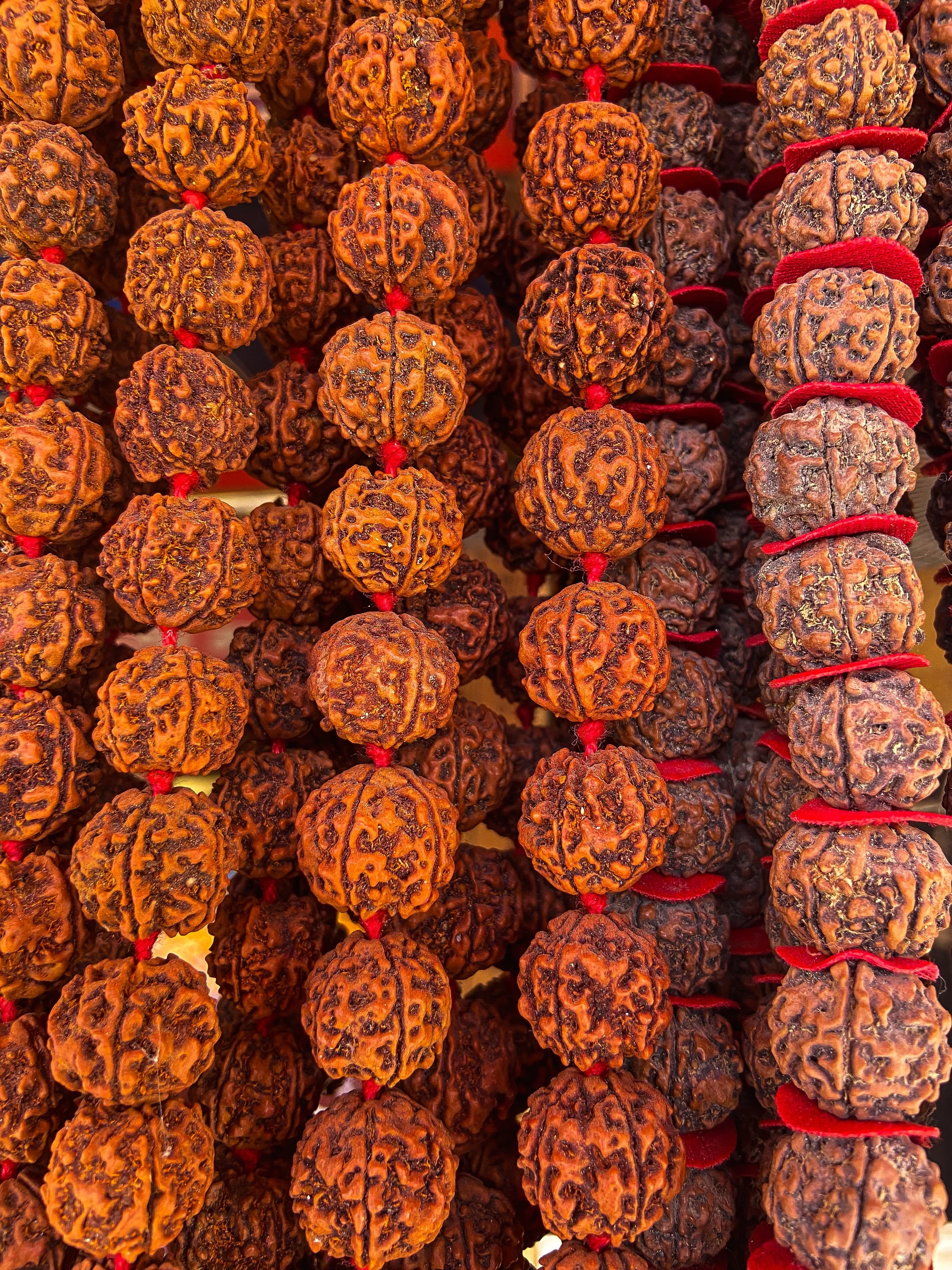 Close-up view of multiple Rudraksha beads, which are brown with a textured, seed-like surface, strung together with red thread.