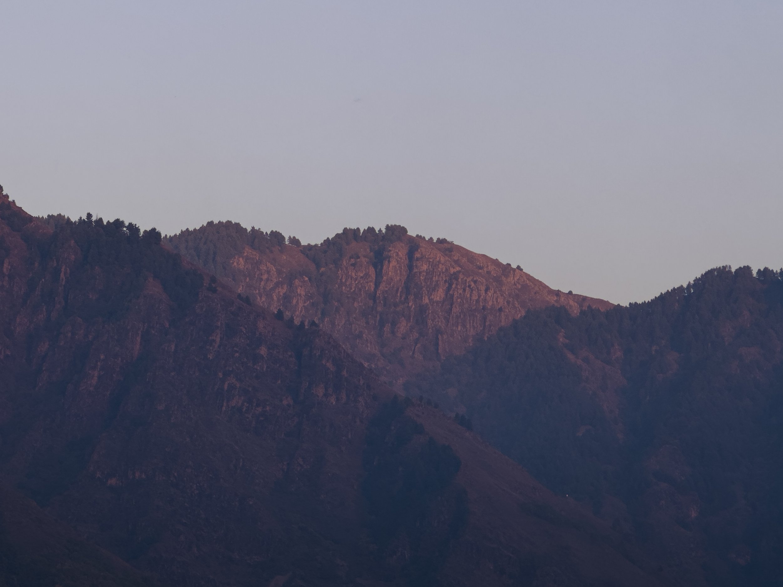 Mountains with rocky peaks and forested slopes at sunset or dawn, with a pale sky in the background.