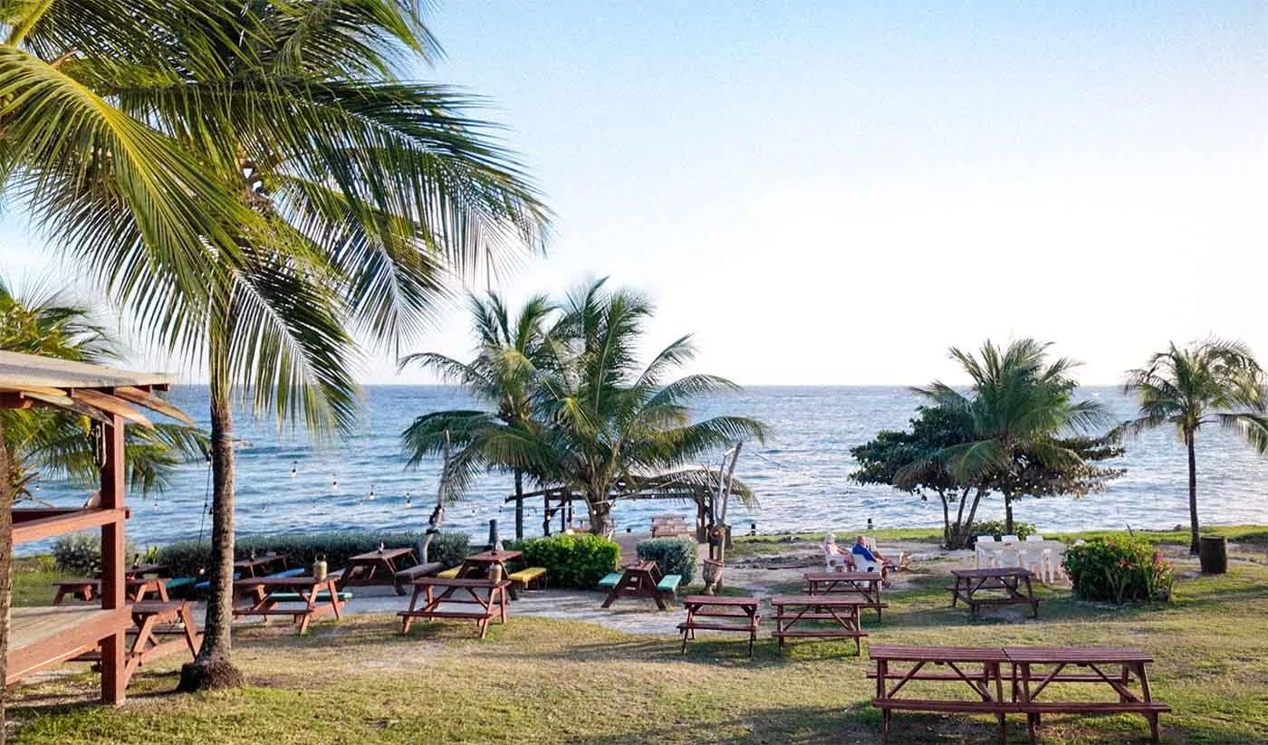 Beachside scene with palm trees, lounge chairs, tables, and people relaxing near the ocean.