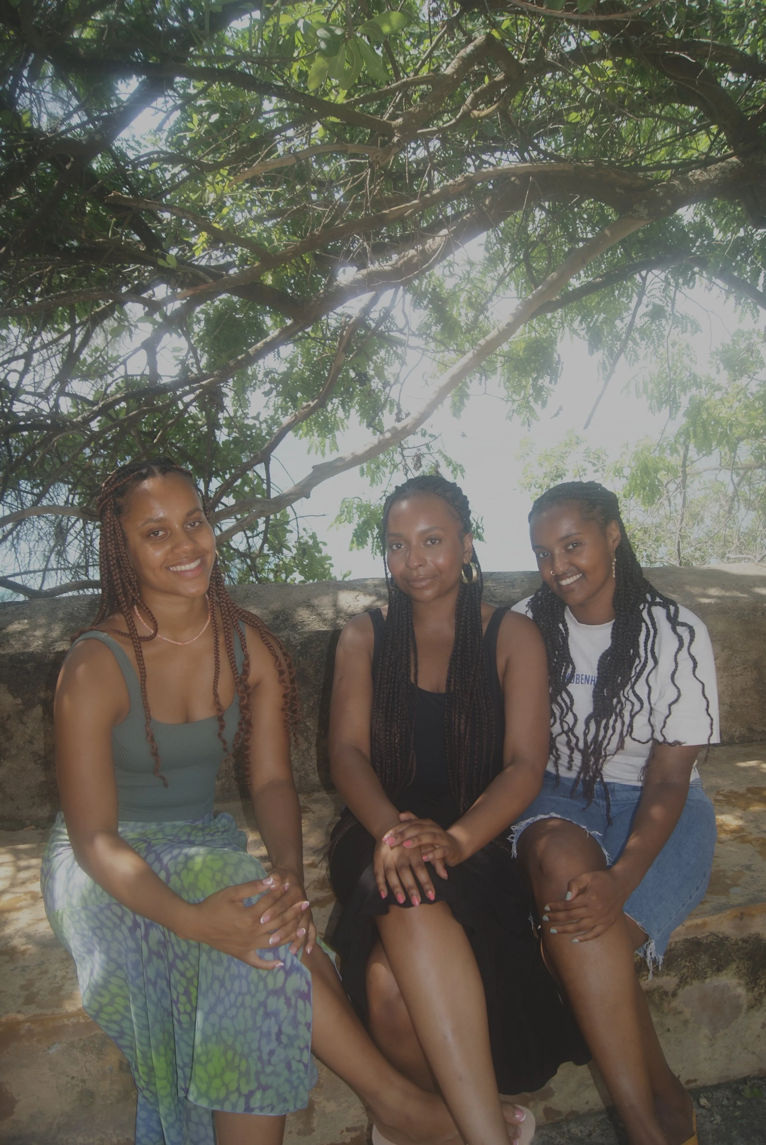 Three women sitting outdoors on a stone bench under a tree with green leaves, smiling at the camera.