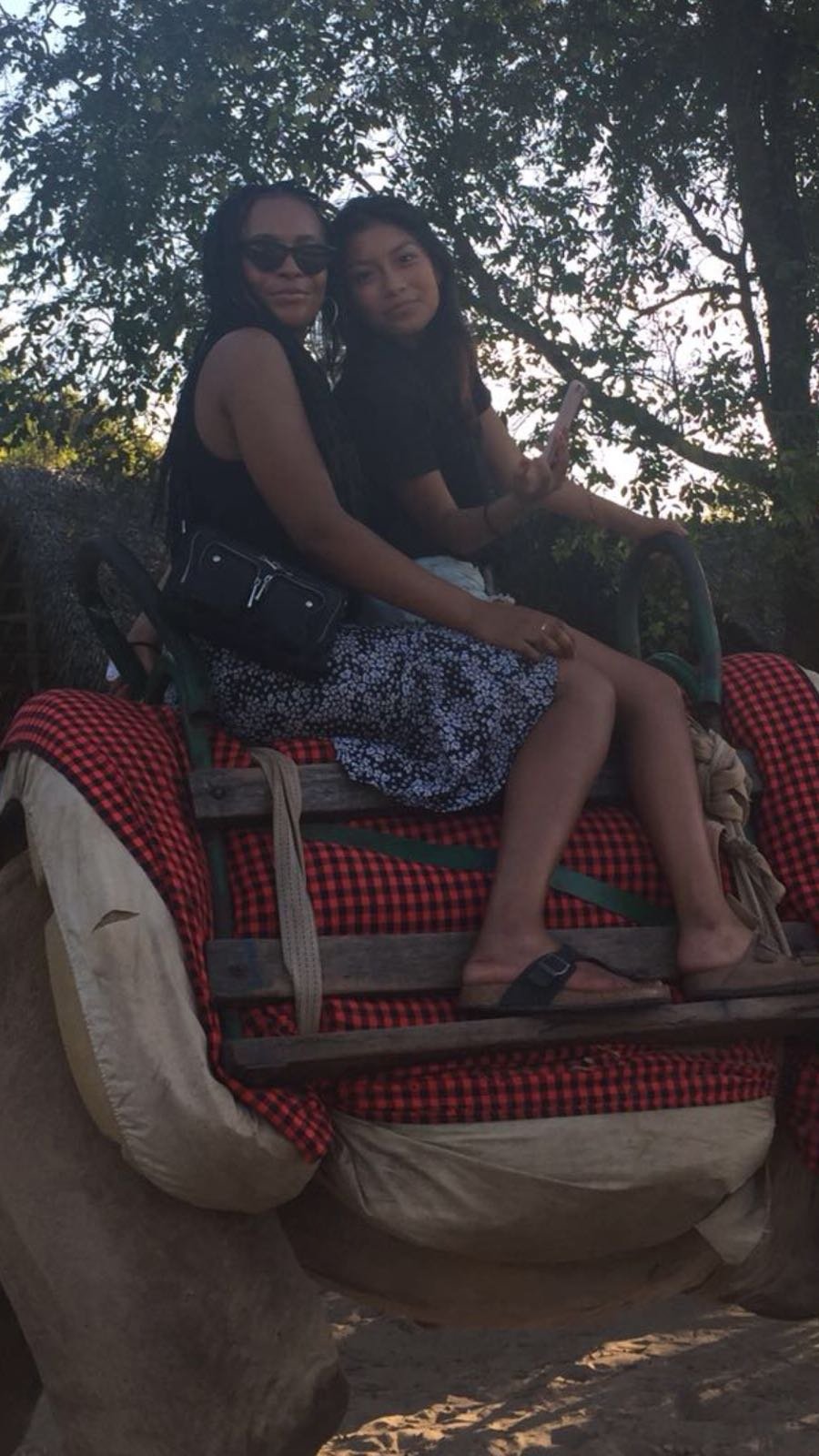 Two women sitting on a decorated cart with a red and black checkered blanket, surrounded by trees and foliage, during daytime.