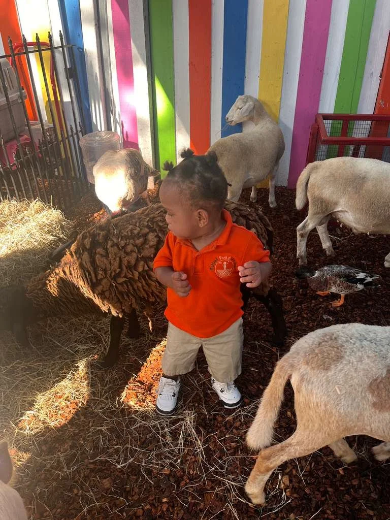north_lauderdale_academy_fl_preschool (12).jpg
