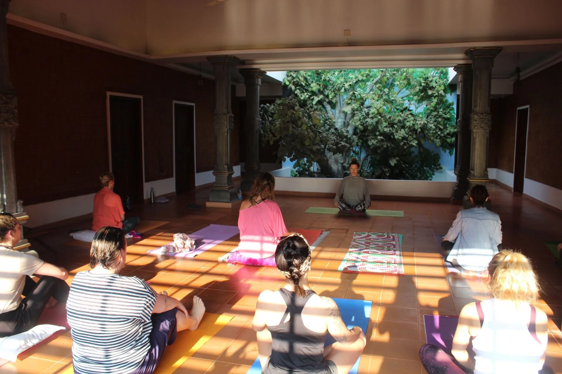 People sitting on yoga mats in a room with a large window showing trees outside, participating in a yoga or meditation class.