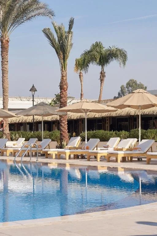 Swimming pool area with lounge chairs and umbrellas, surrounded by palm trees, sunny sky, and a few buildings in the background.