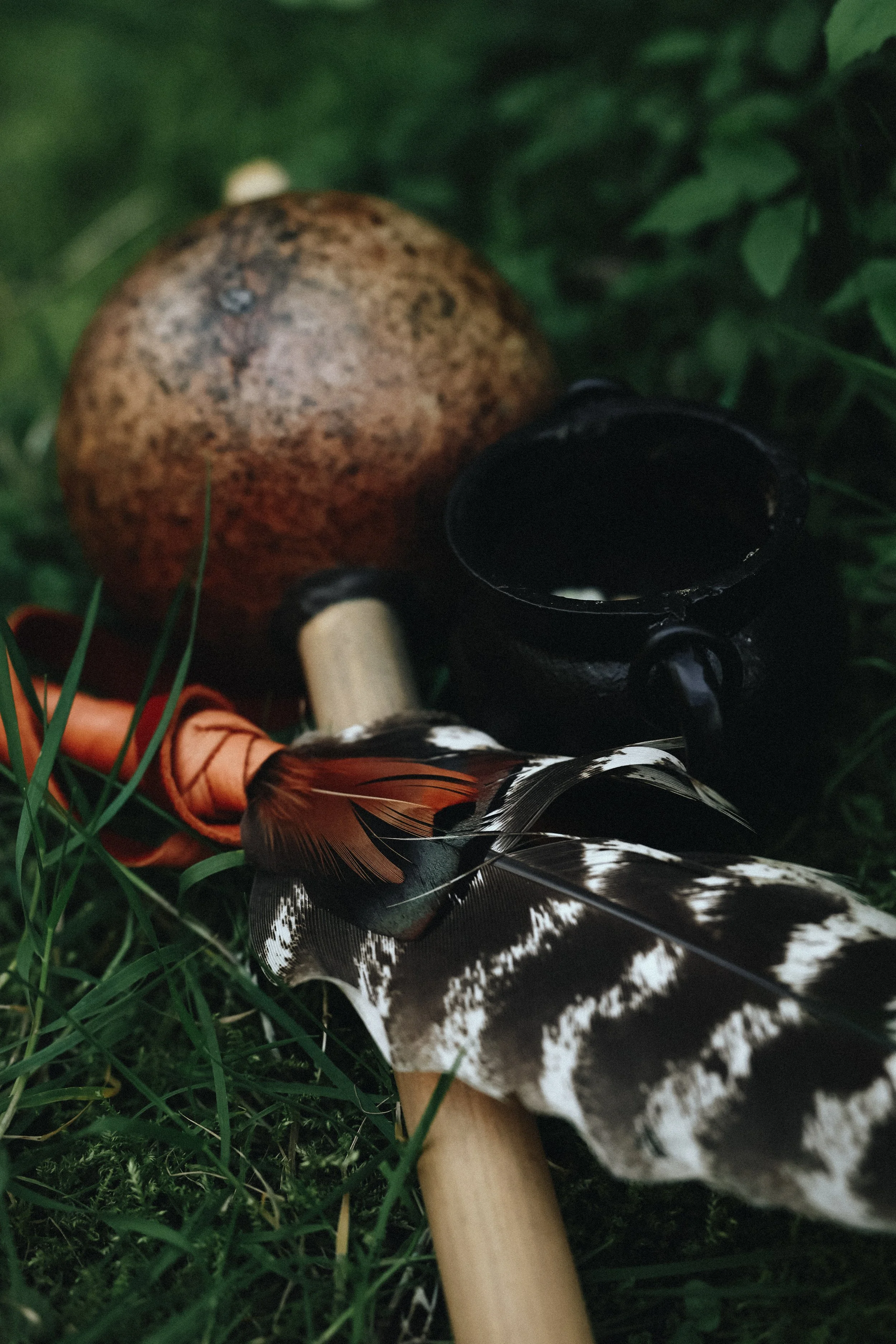 Close-up of a hunting bow with a quiver filled with feathers, resting on grassy ground with a nearby apple and green leaves.