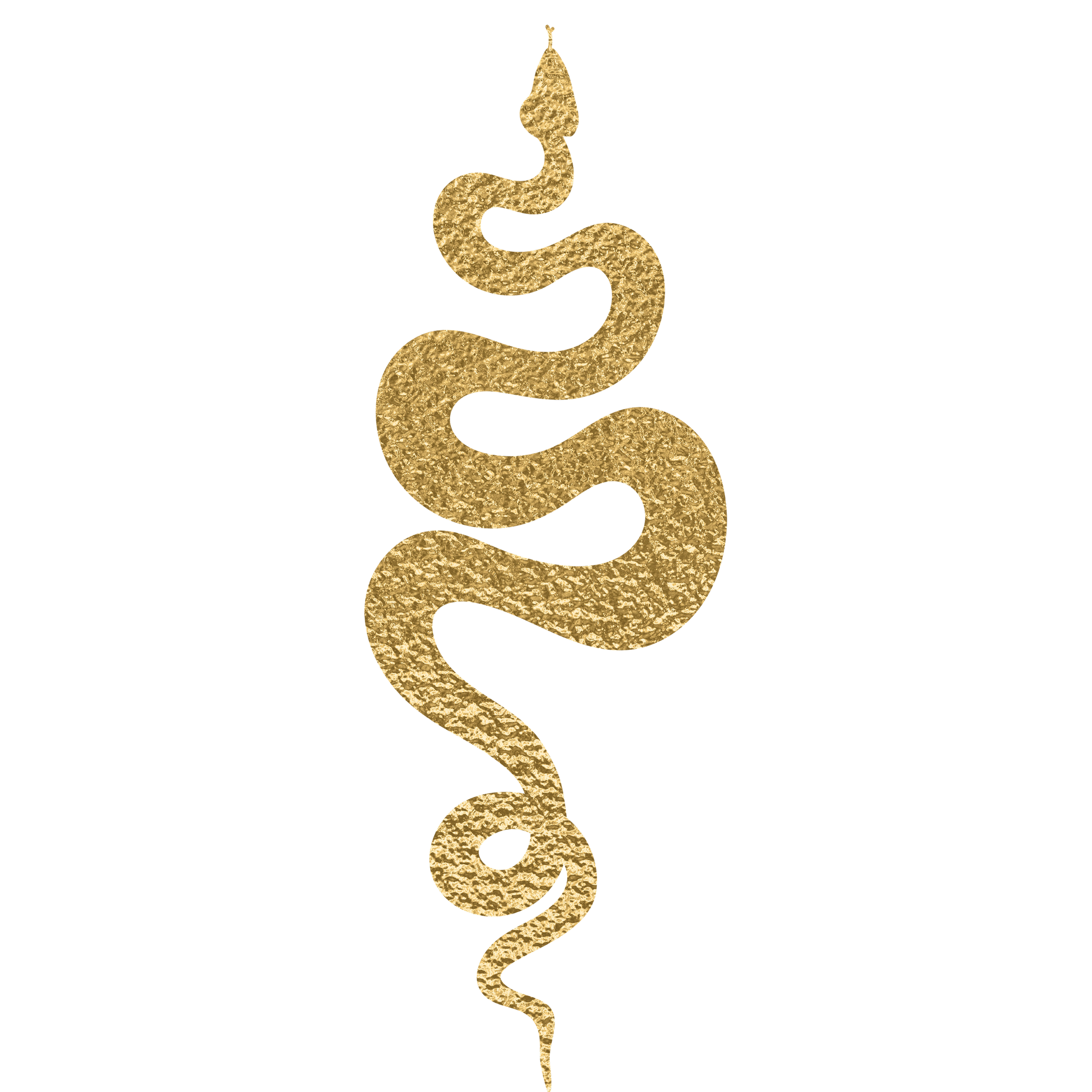 A vertical graphic of a gold snake with a textured pattern, positioned against a black background with streaks of color on the right side.