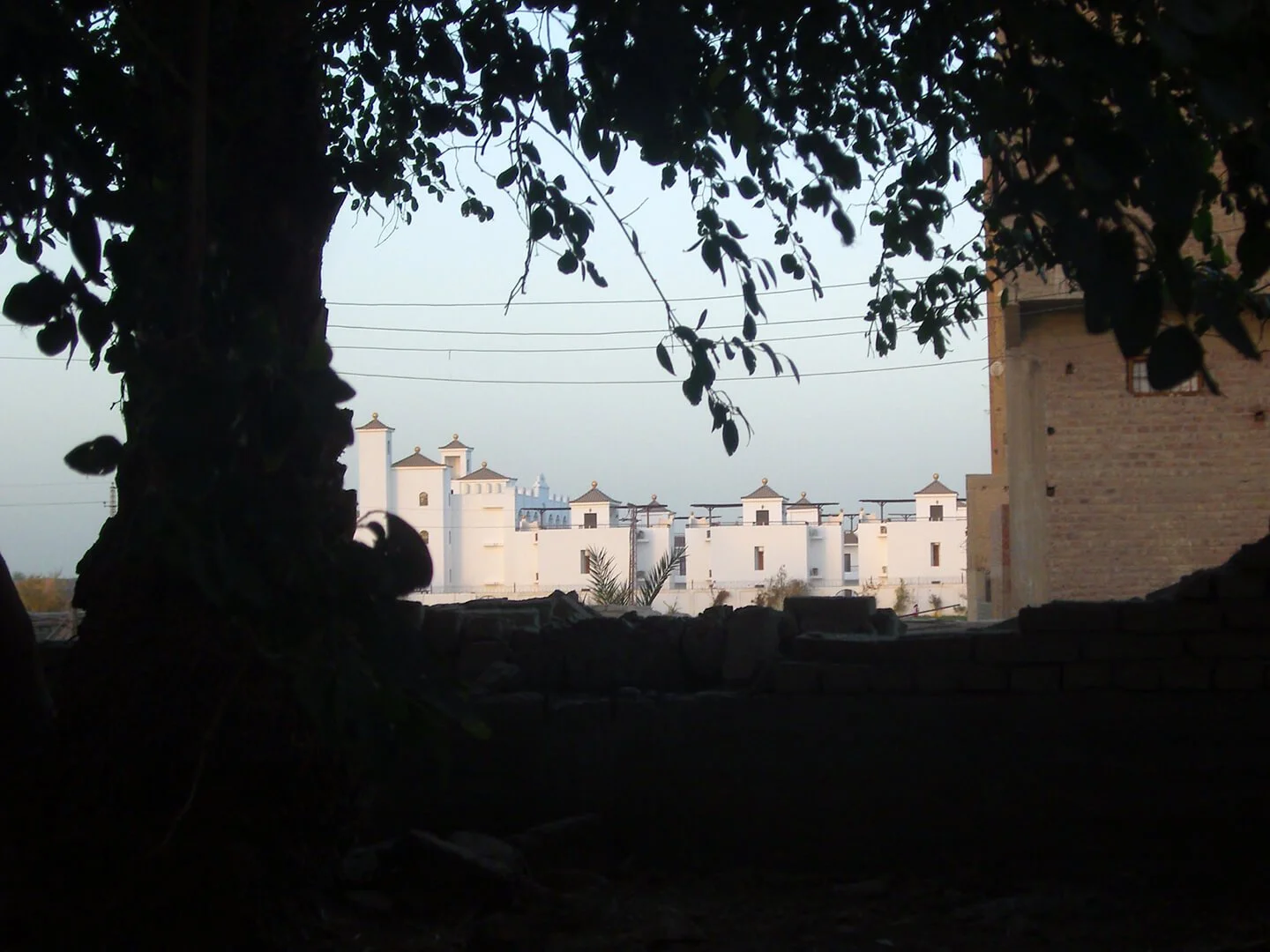 View of white buildings with towers seen through a dark opening framed by a large tree and a brick wall, power lines above.