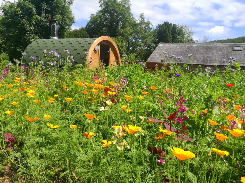A lush garden with colorful flowers in front of a small round wooden eco-friendly house with a chimney and a shingled roof, with a second house visible in the background, surrounded by green trees and a partly cloudy sky.