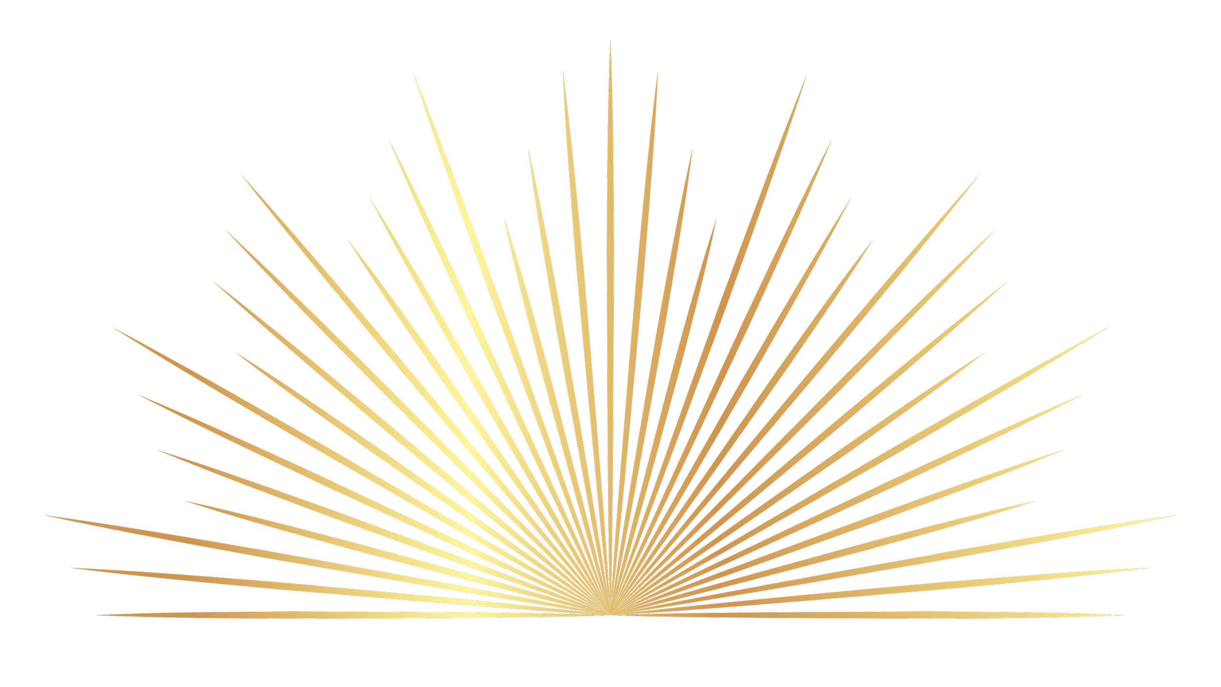 Golden fireworks radiating outward against a black background.
