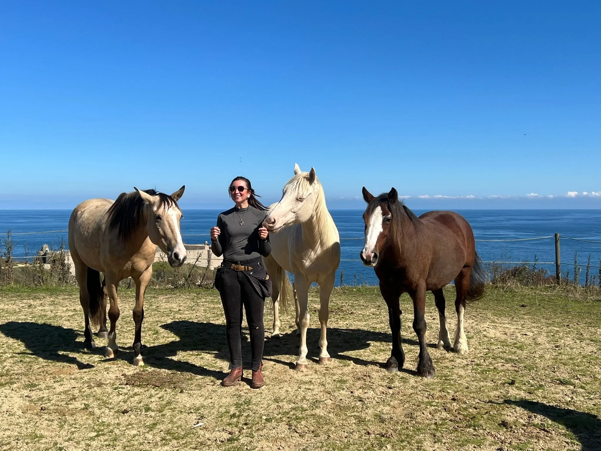 Une femme debout au milieu de quatre chevaux près de la côte, avec un ciel bleu et la mer en arrière-plan.