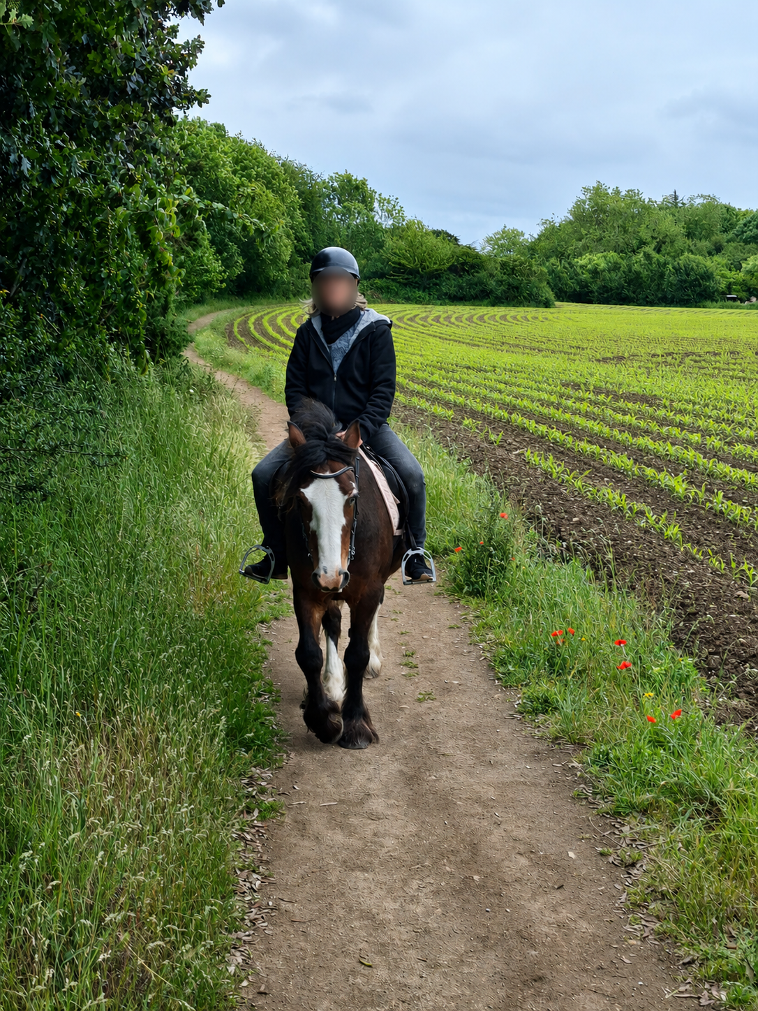 ChatGPT Image 9 juin 2026, 10_17_57.png