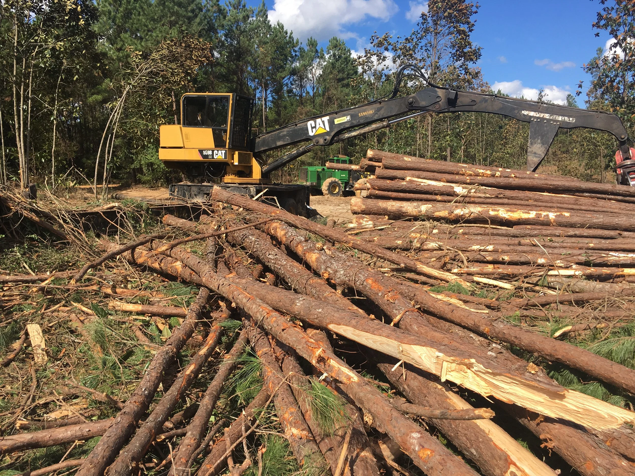 The Beginning of the Metal Barn: A Year of Mud, Logs, and Patience