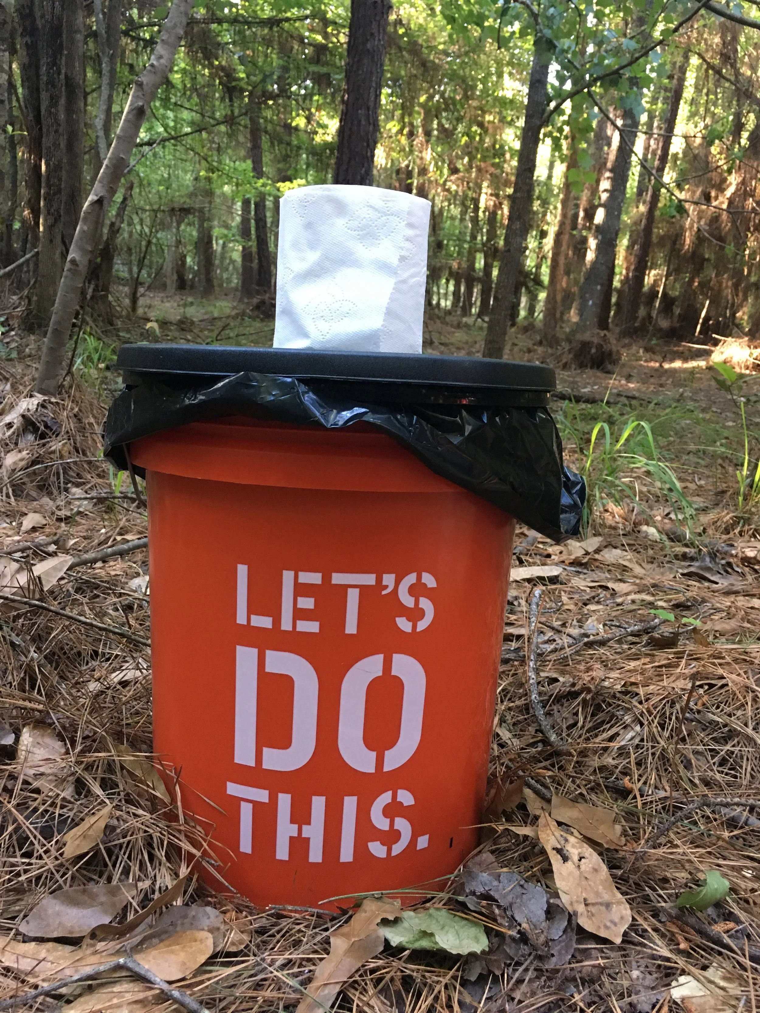 A Building Is Not a House Yet: Life on Hogs Hollow Homestead