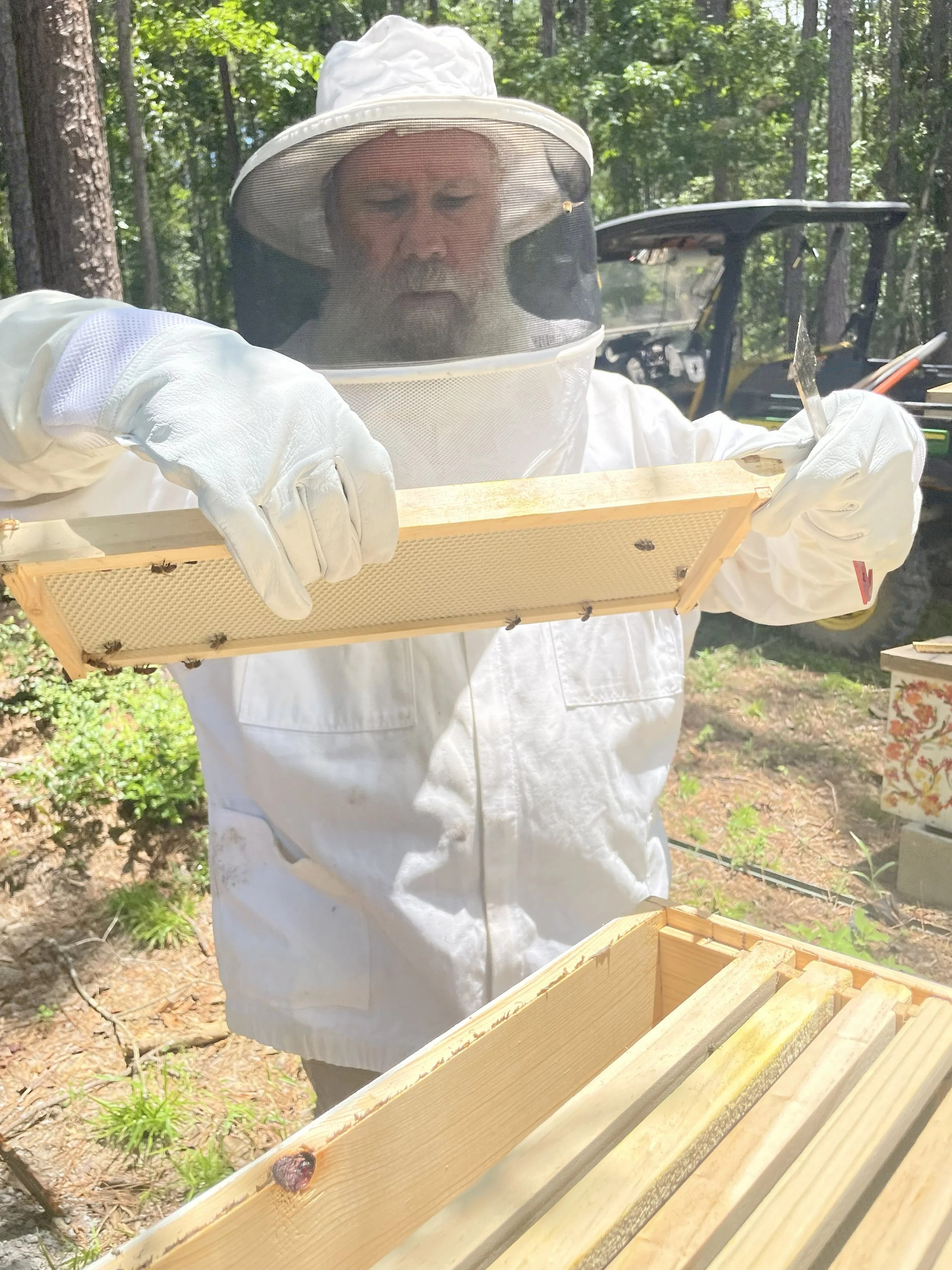 checking the bees.jpg