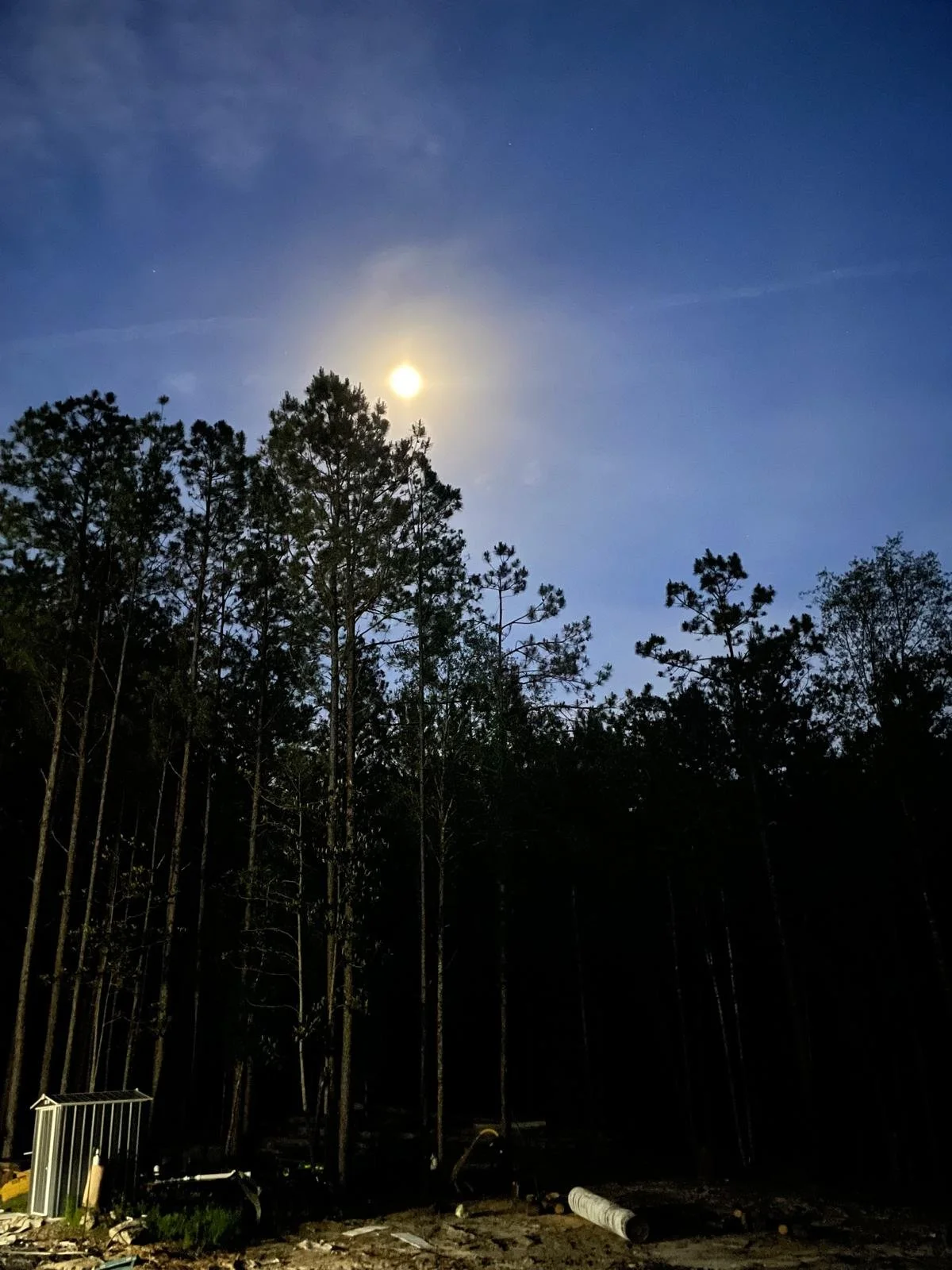 WhatsApp Image 2026-03-25 at 16.58.18.jpeg