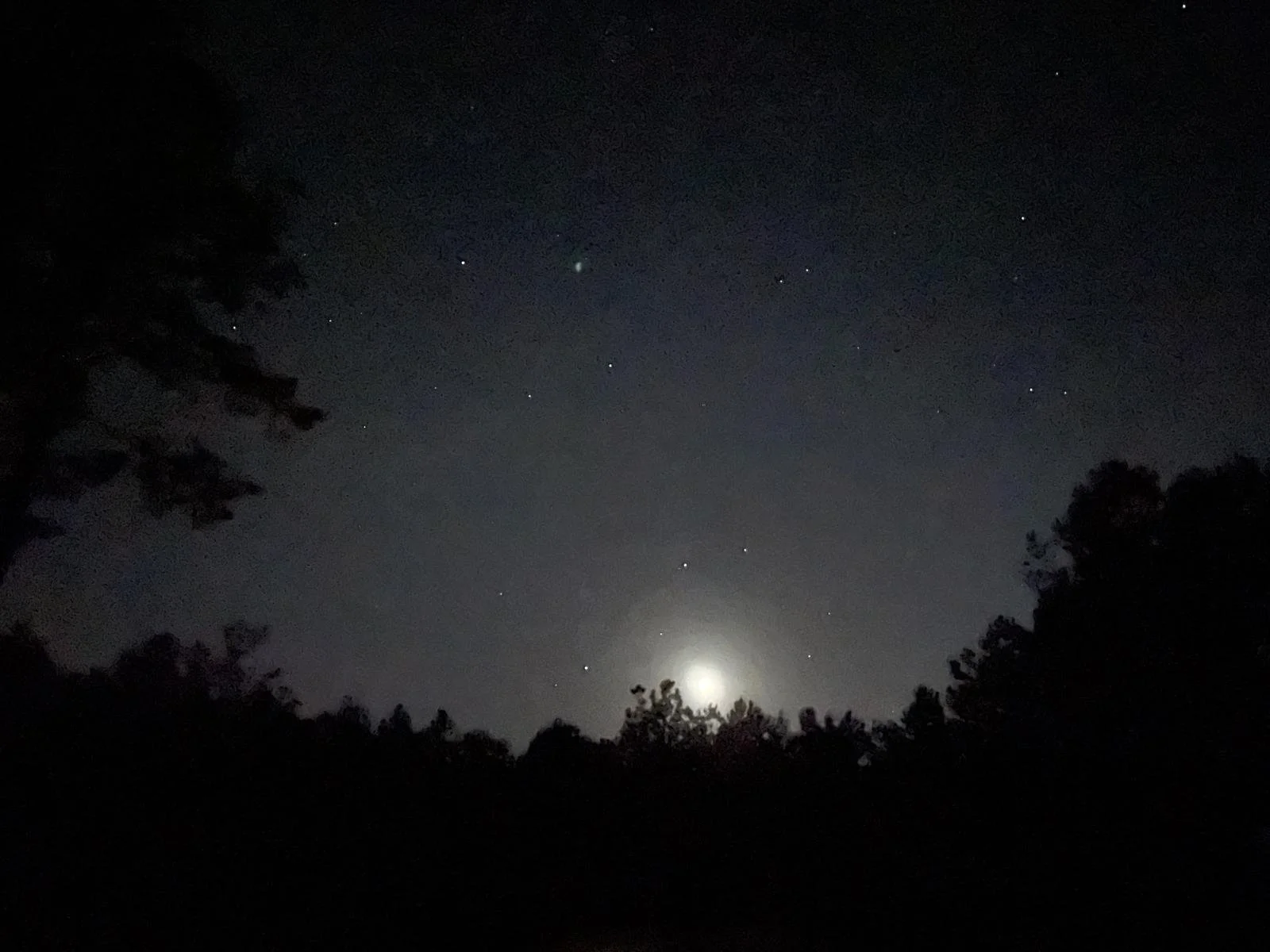 WhatsApp Image 2026-03-25 at 16.58.48.jpeg