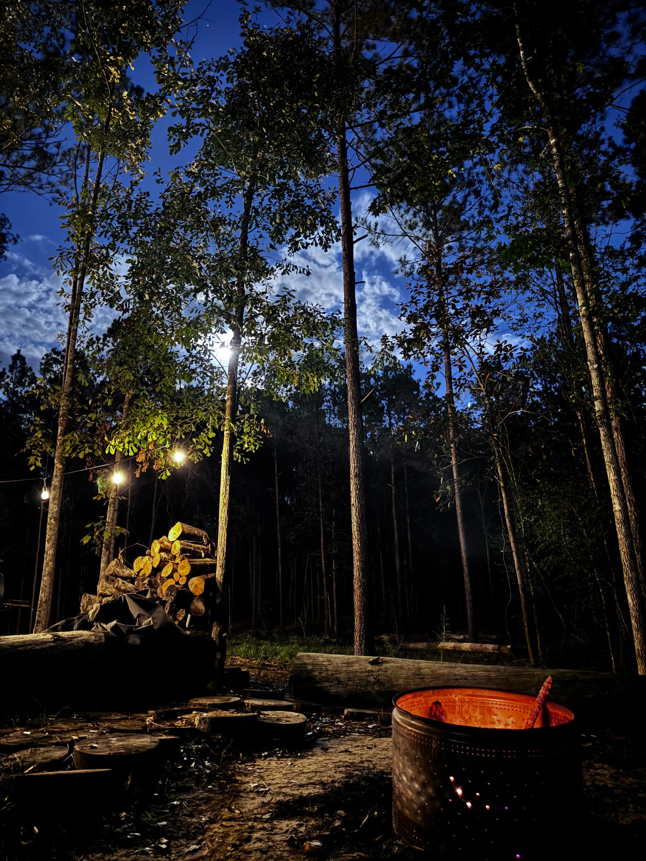 Nighttime scene in a forest with tall trees, a woodpile with logs, string lights hanging, and a metal fire pit with a glowing fire inside.