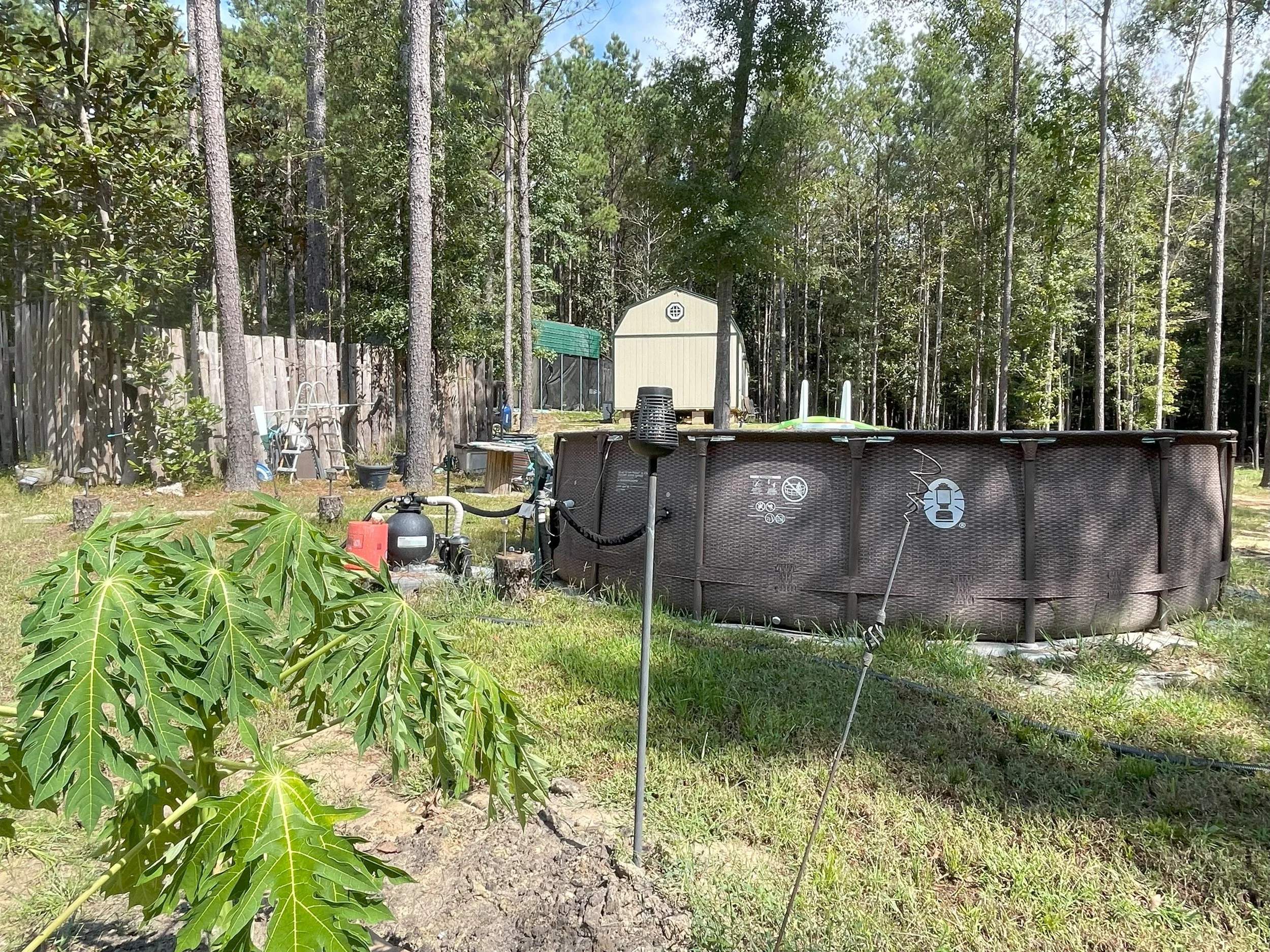 An above-ground round swimming pool in a backyard, surrounded by grass, trees, and yard equipment, with a shed and a fence in the background.