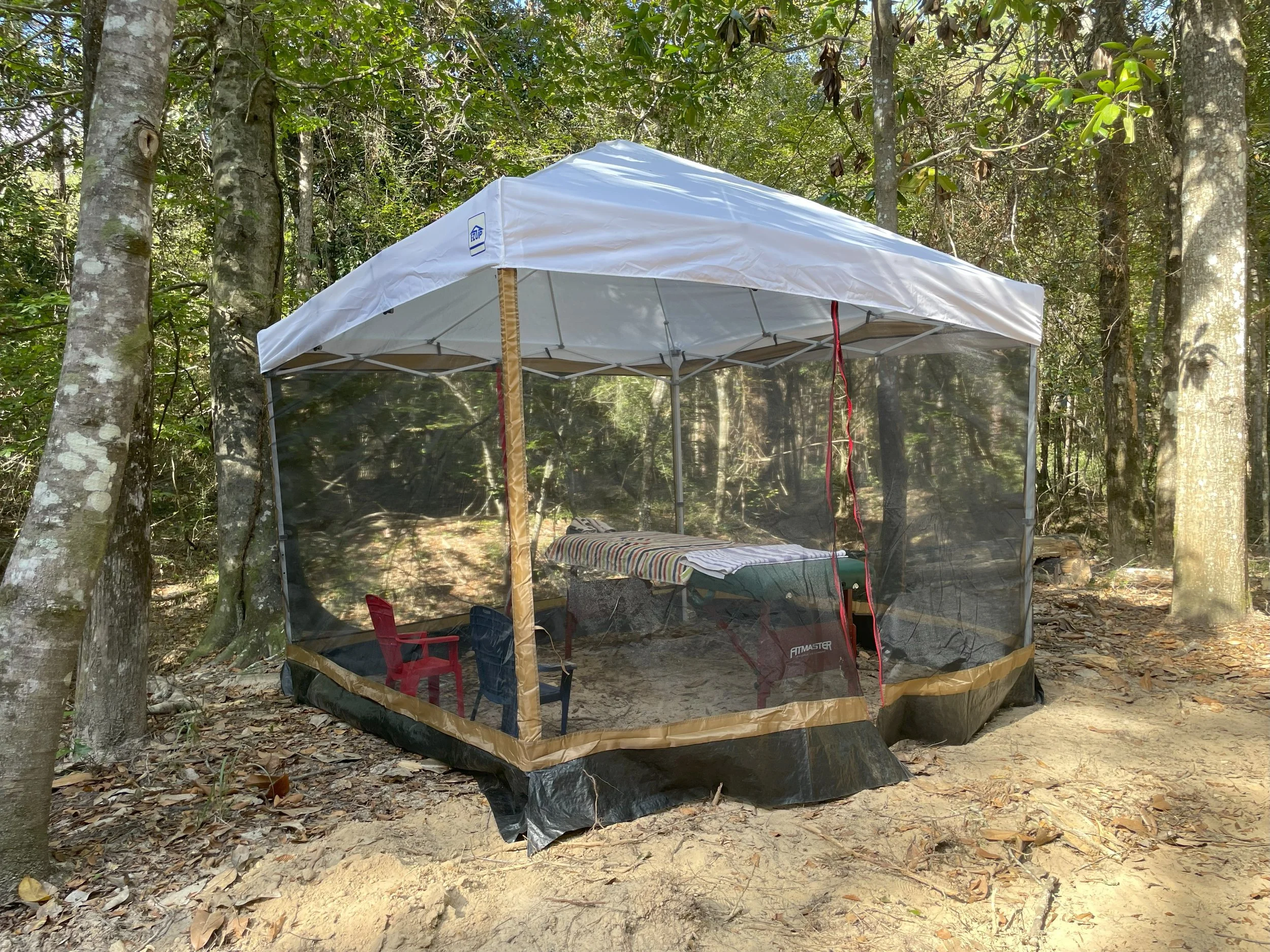 A camping tent with netting walls set up in a forested area with trees and dirt ground inside.
