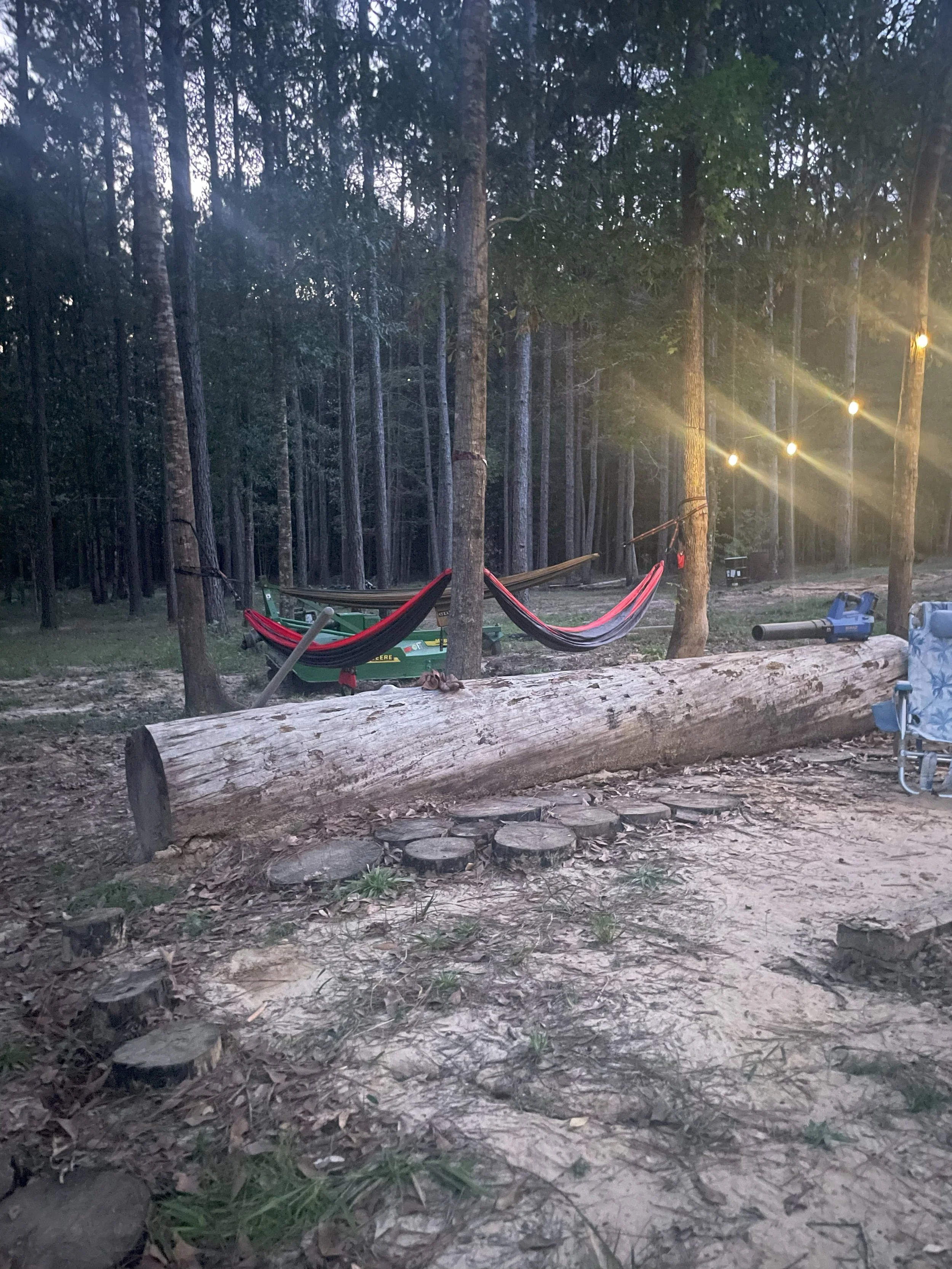 A wooded outdoor area at dusk with a fallen log in the foreground, a hammock strung between trees, string lights hanging above, and camp gear including a lawn chair and a leaf blower.